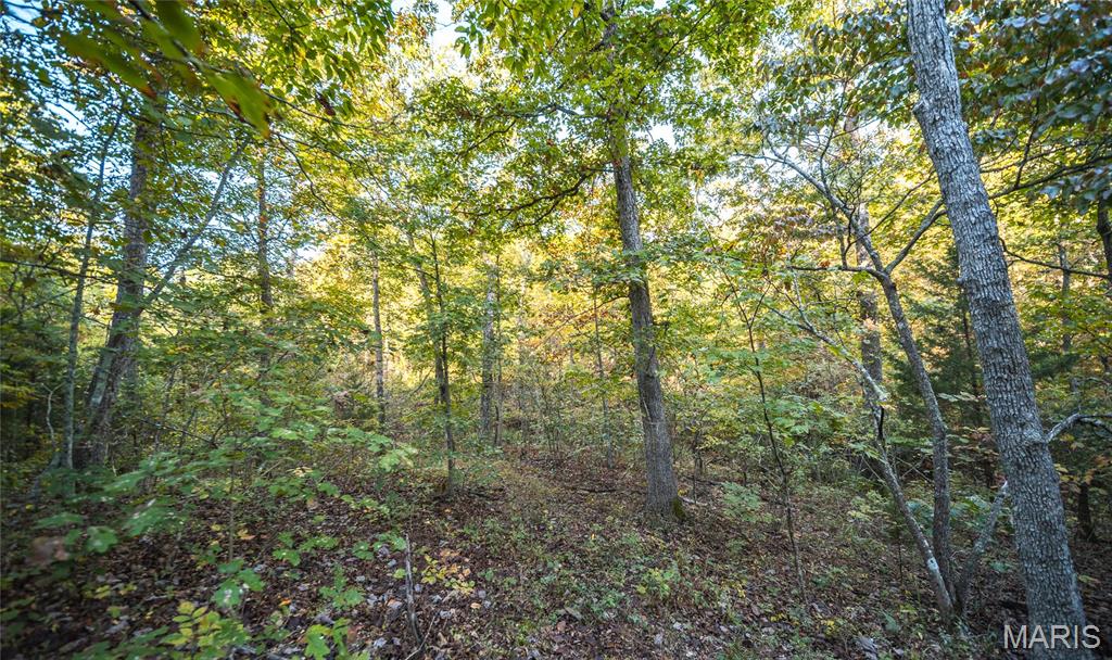 10206 Slice Road Sullivan, MO 63080 - Photo 43 of 66 Gallery Image 43