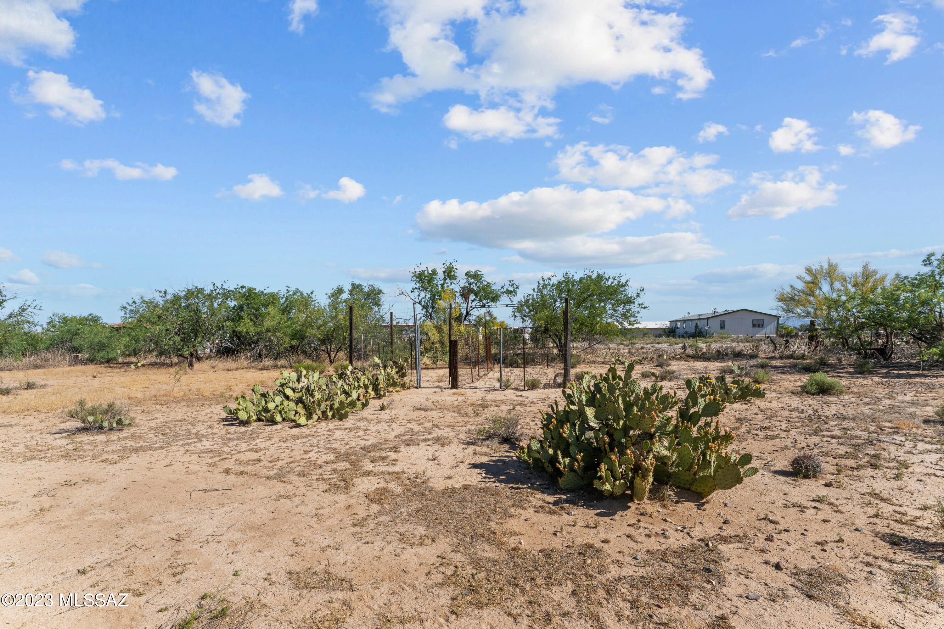 14540 West Applejack Road Tucson, AZ 85736 - Photo 8 of 38 Gallery Image 8