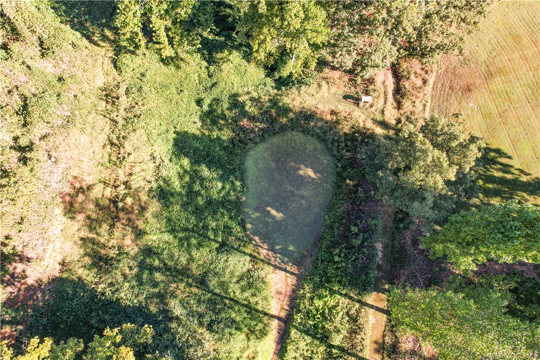 0 Dairy Farm Road Westminster, SC 29693 - Photo 5 of 11 Gallery Image 5