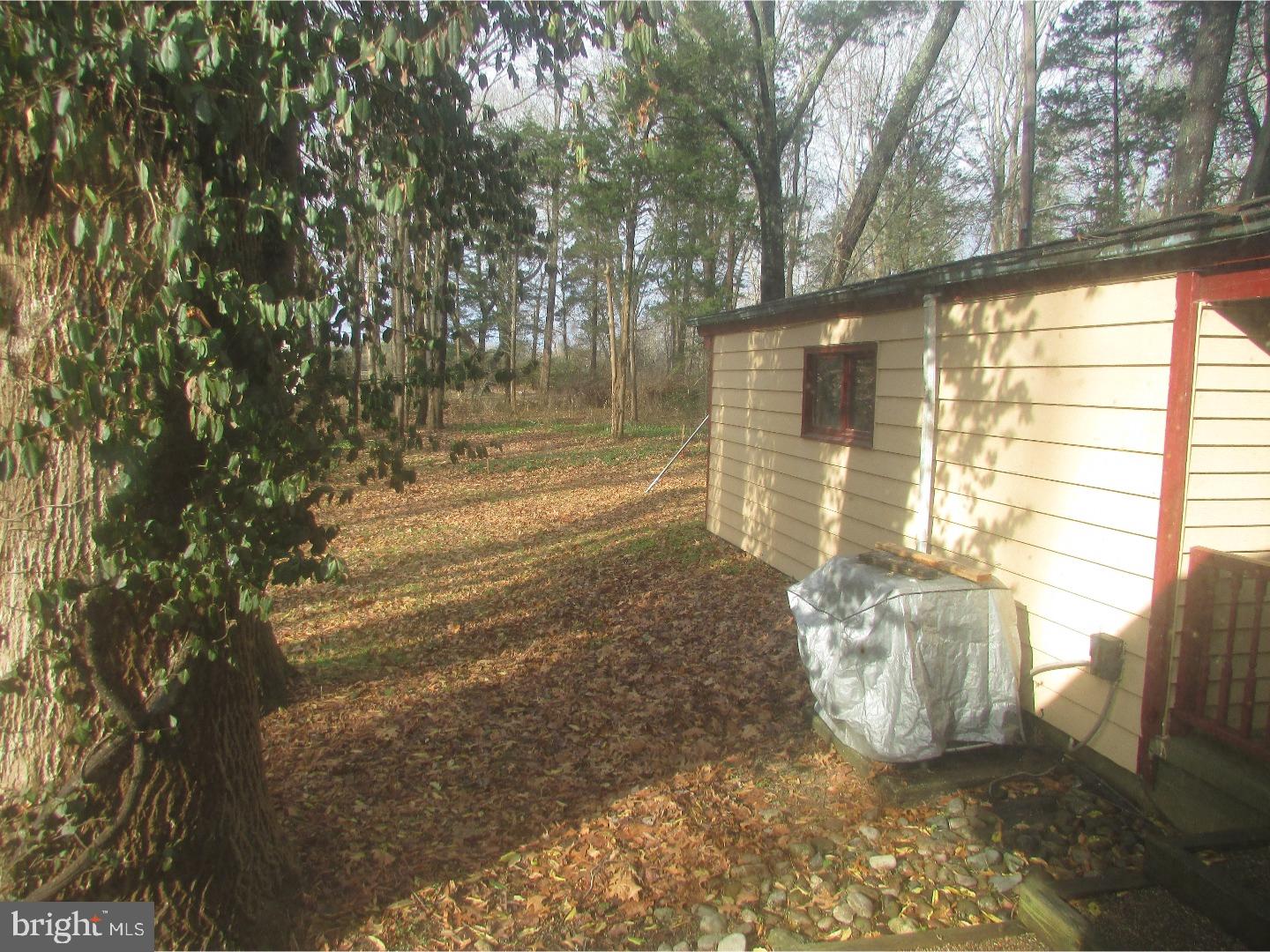 317 B Auburn Road Pilesgrove, NJ 08098 - Photo 20 of 23 Back Yard