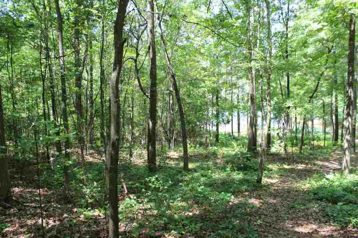 Lot 3 Blumefield Road Anderson, SC 29625 - Photo 2 of 9 Gallery Image 2