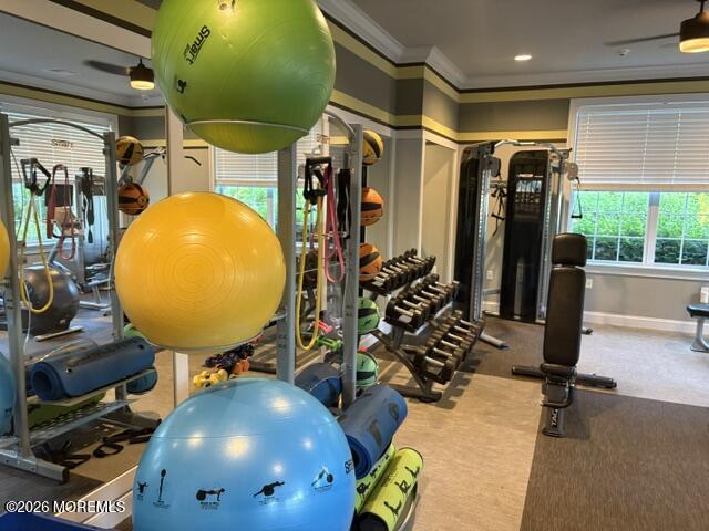 5 Tree Line Drive Freehold, NJ 07728 - Photo 42 of 57 TL gym 2