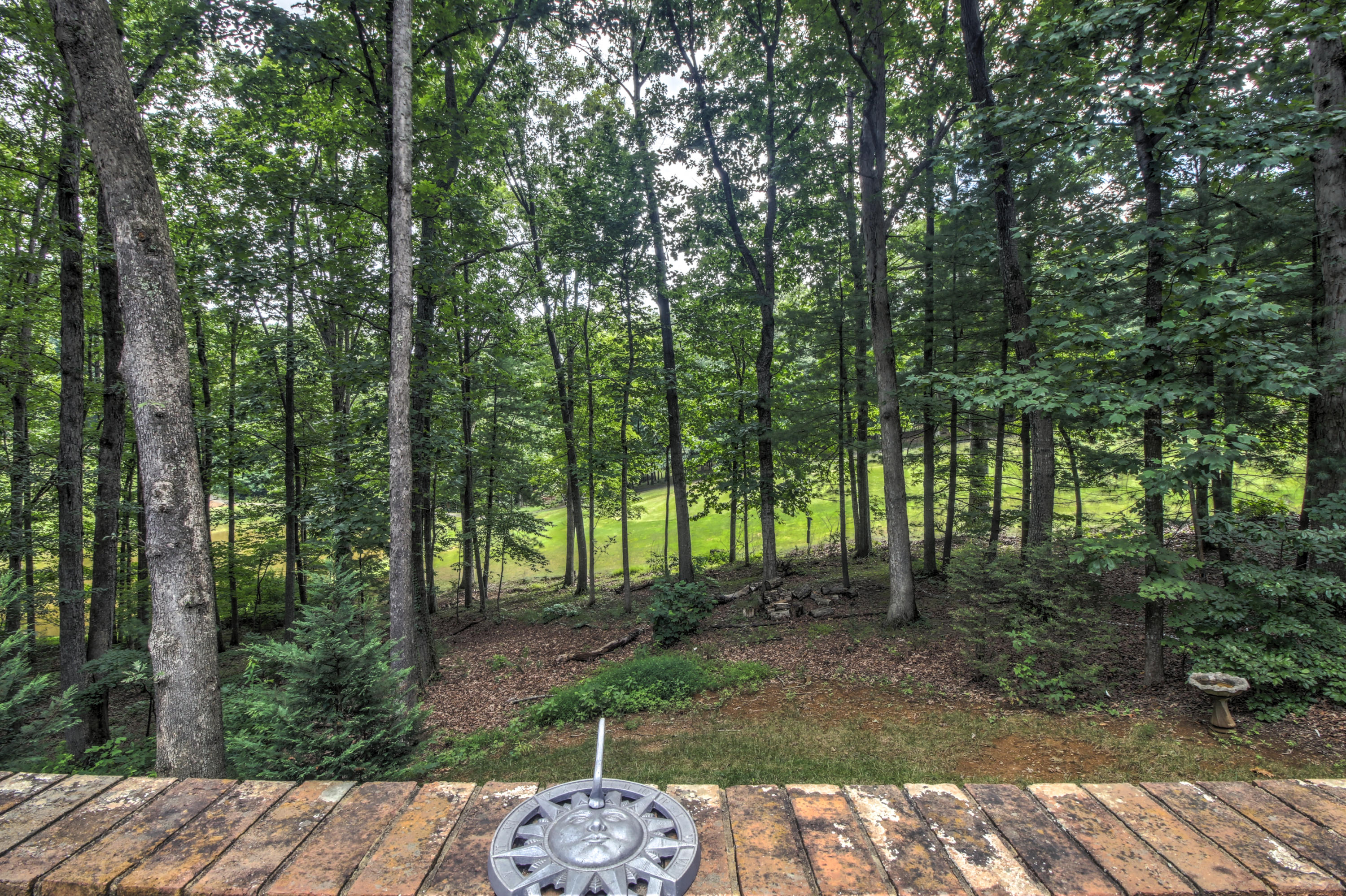 5113 Red Stag Road Roanoke, VA 24018 - Photo 32 of 40 _MG_3092_3_4_5_6_7