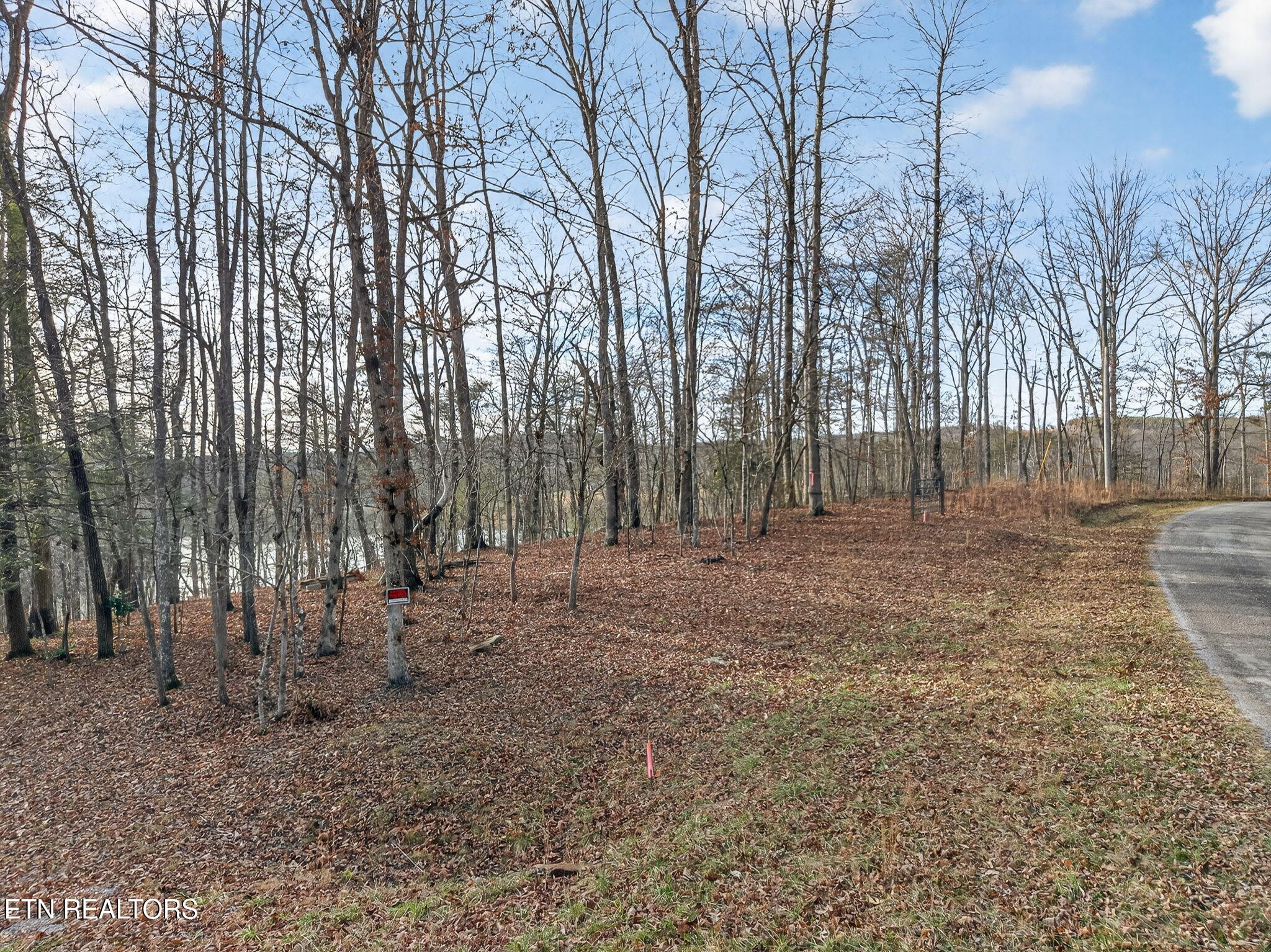 198 Indian Rock Loop Crossville, TN 38572 - Photo 18 of 26