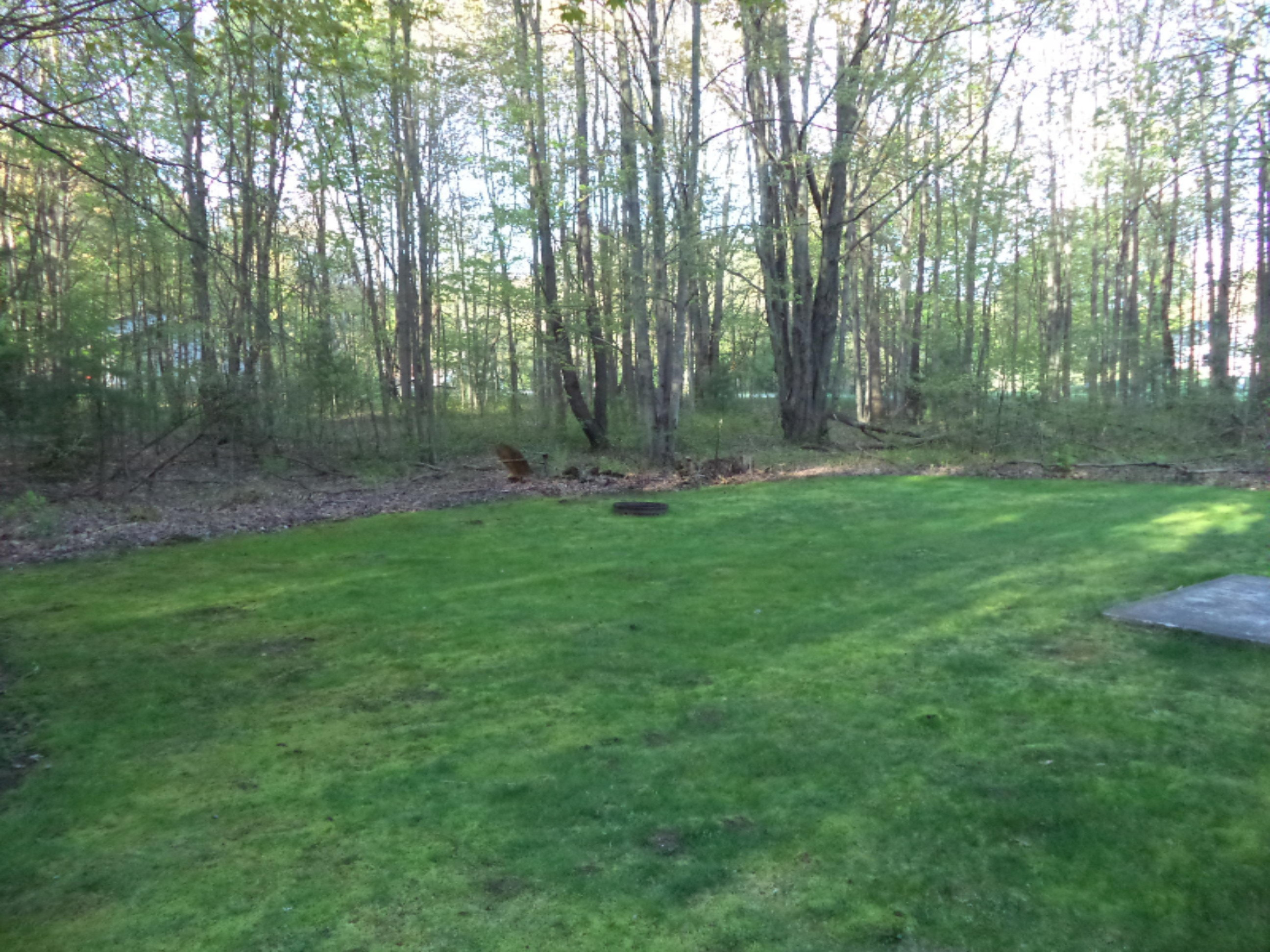 730 North Buys Road Muskegon, MI 49445 - Photo 5 of 38 DSC02395