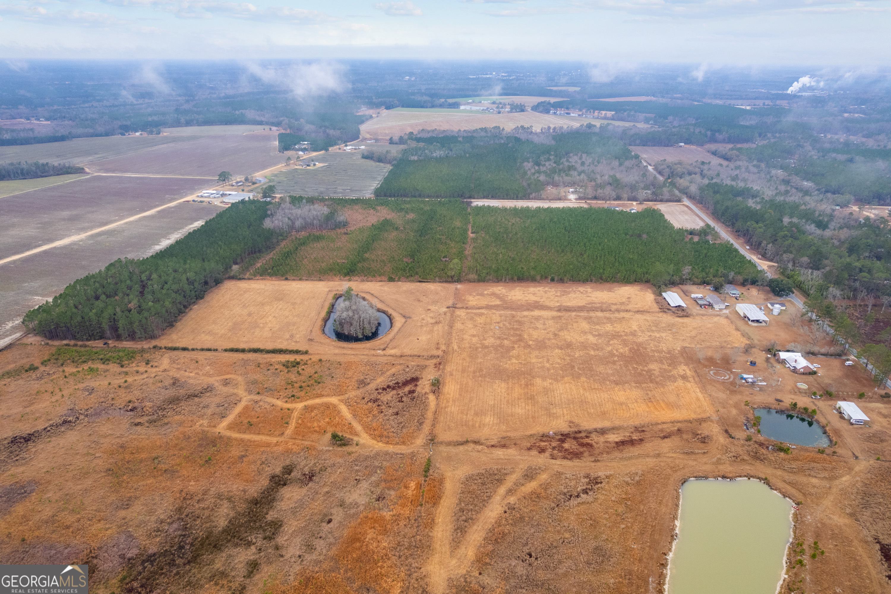 0 Trudie Road Blackshear, GA 31516 - Photo 13 of 32