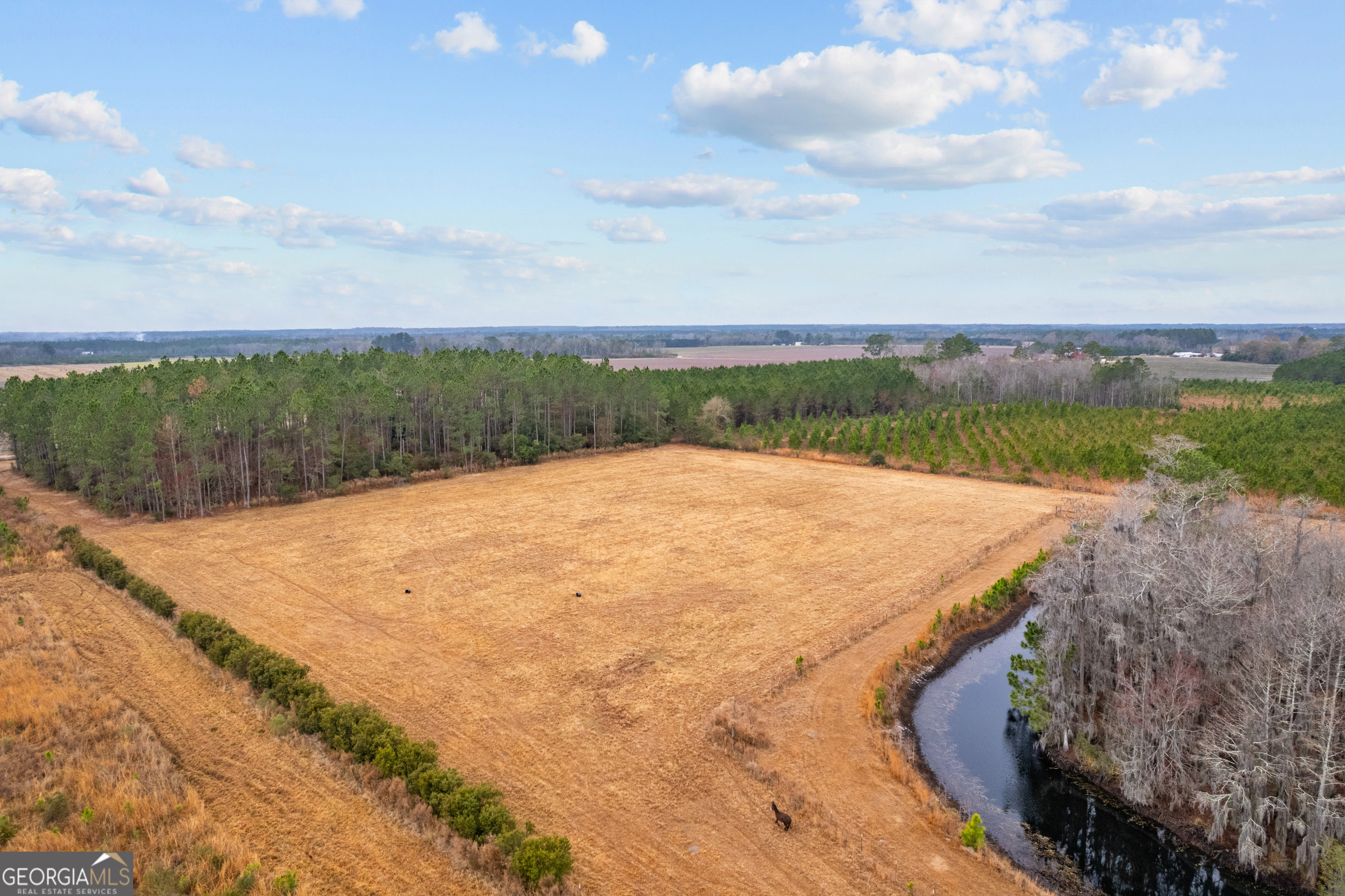 0 Trudie Road Blackshear, GA 31516 - Photo 14 of 32