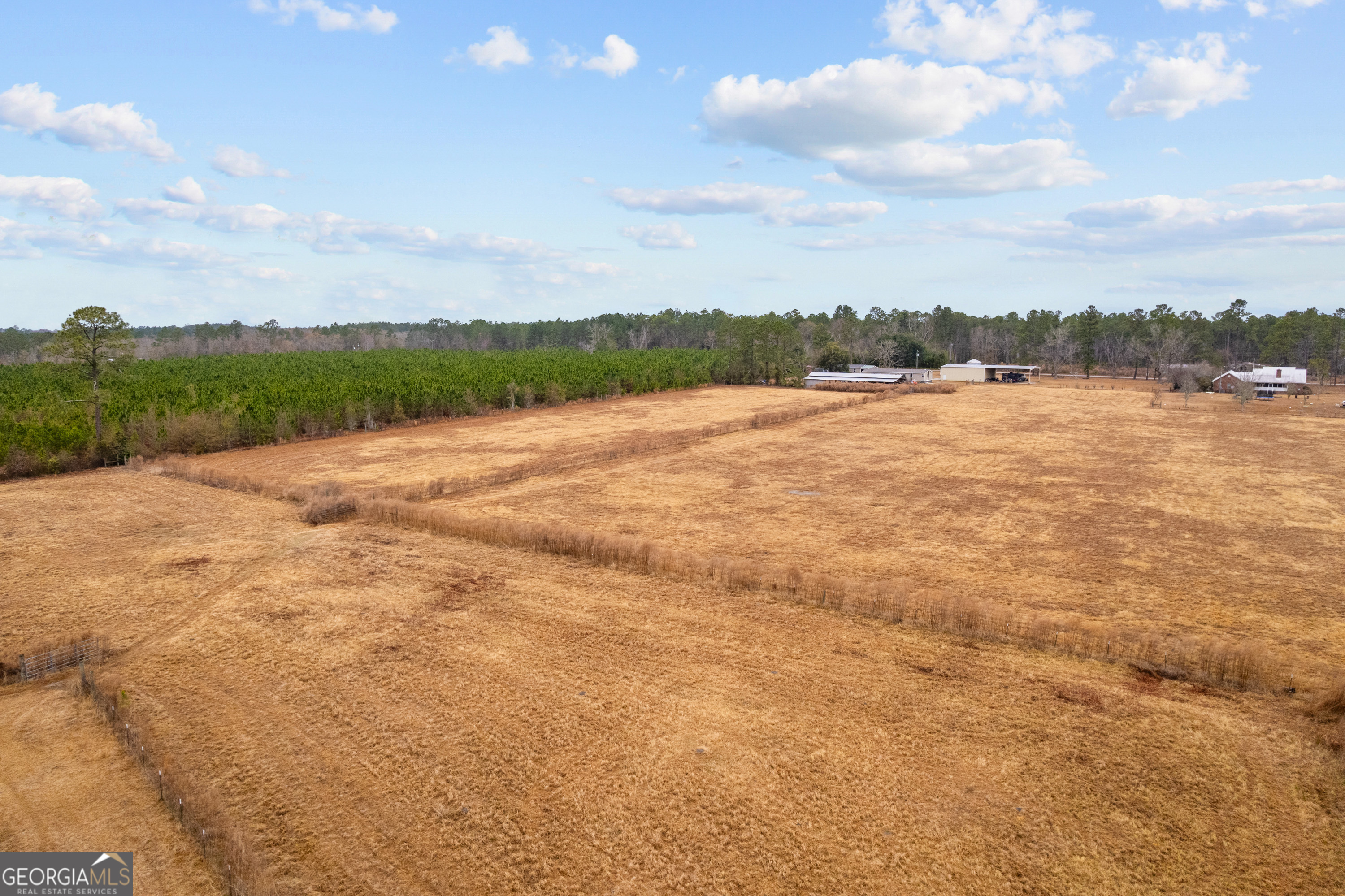 0 Trudie Road Blackshear, GA 31516 - Photo 15 of 32