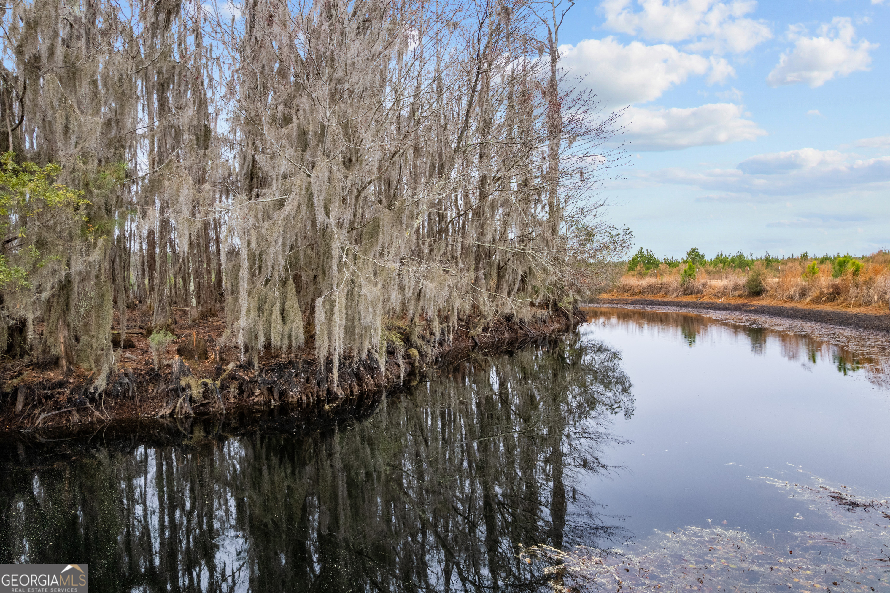 0 Trudie Road Blackshear, GA 31516 - Photo 16 of 32