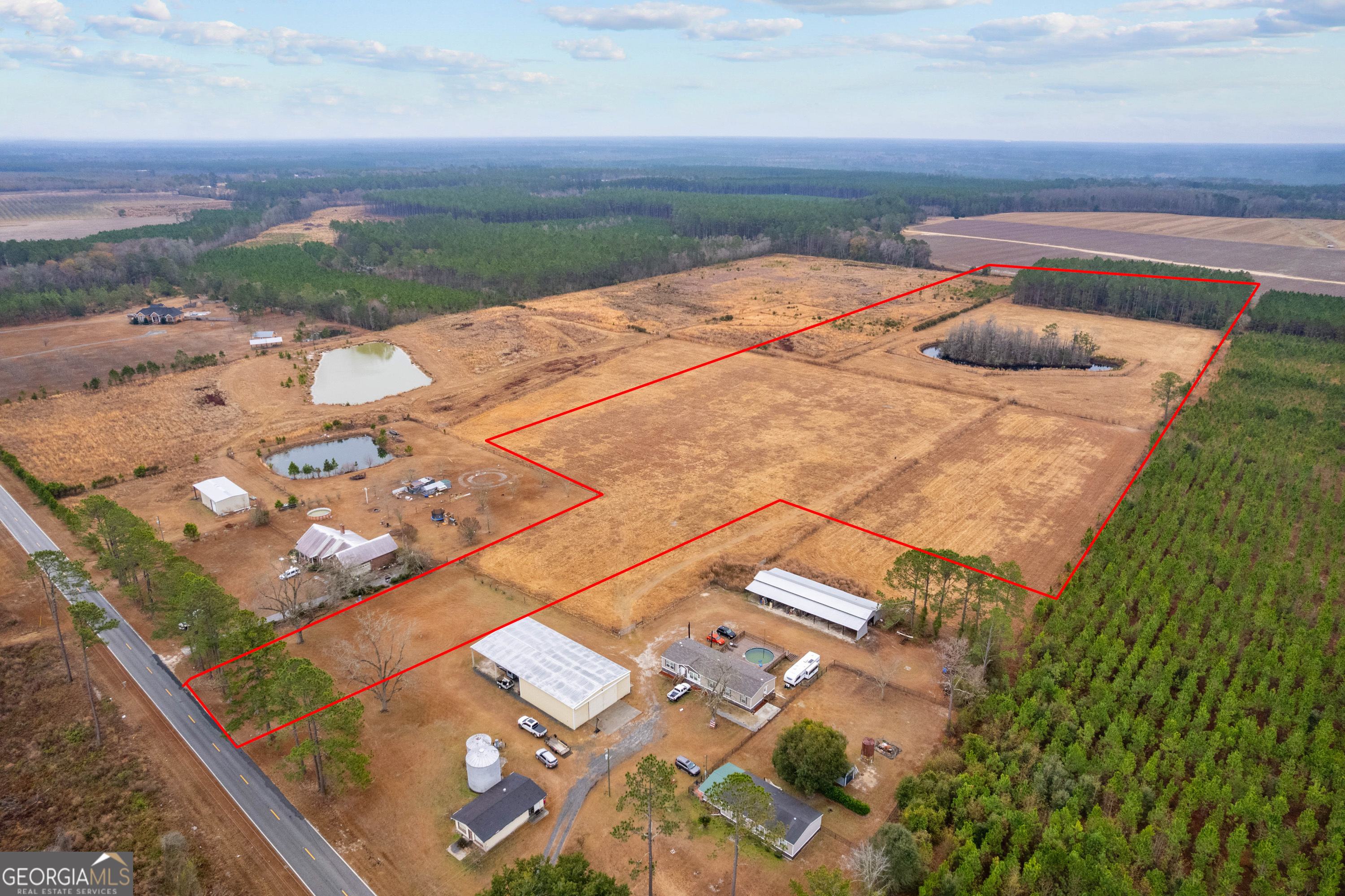 0 Trudie Road Blackshear, GA 31516 - Photo 19 of 32