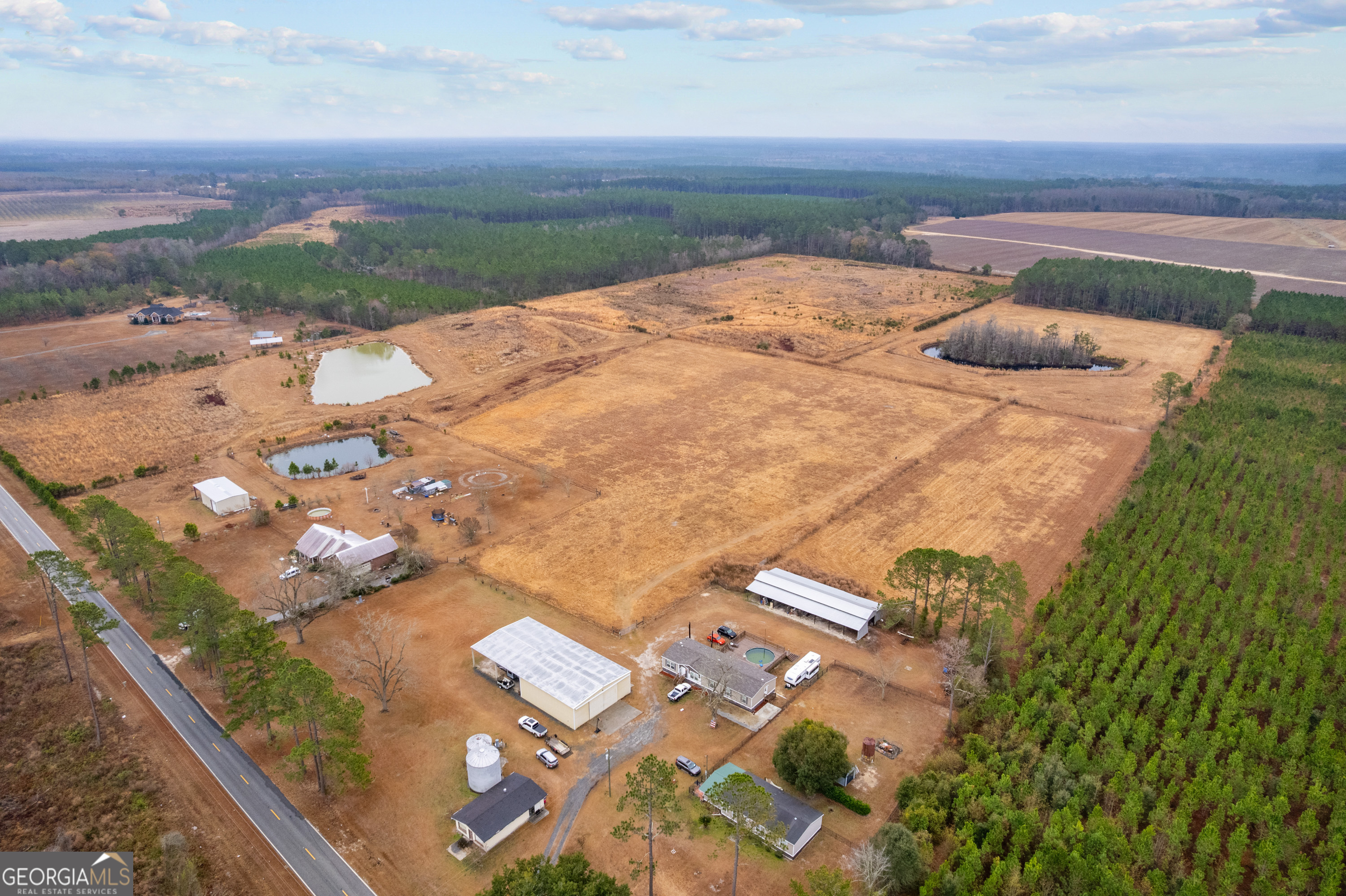 0 Trudie Road Blackshear, GA 31516 - Photo 20 of 32