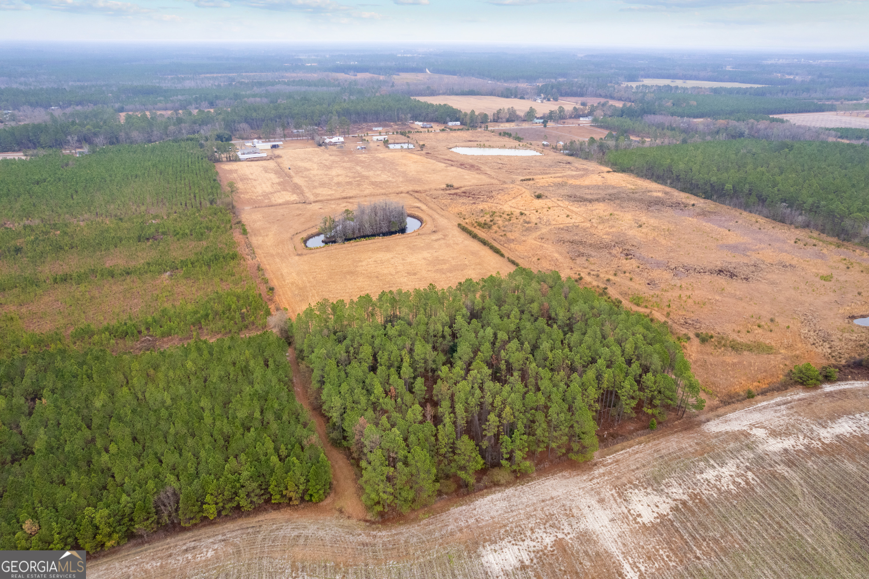 0 Trudie Road Blackshear, GA 31516 - Photo 2 of 32