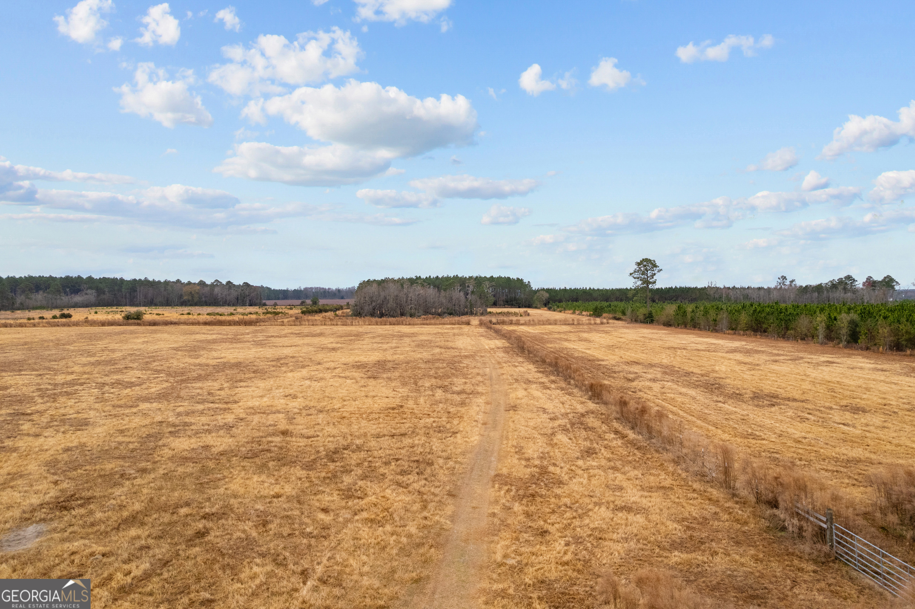0 Trudie Road Blackshear, GA 31516 - Photo 21 of 32