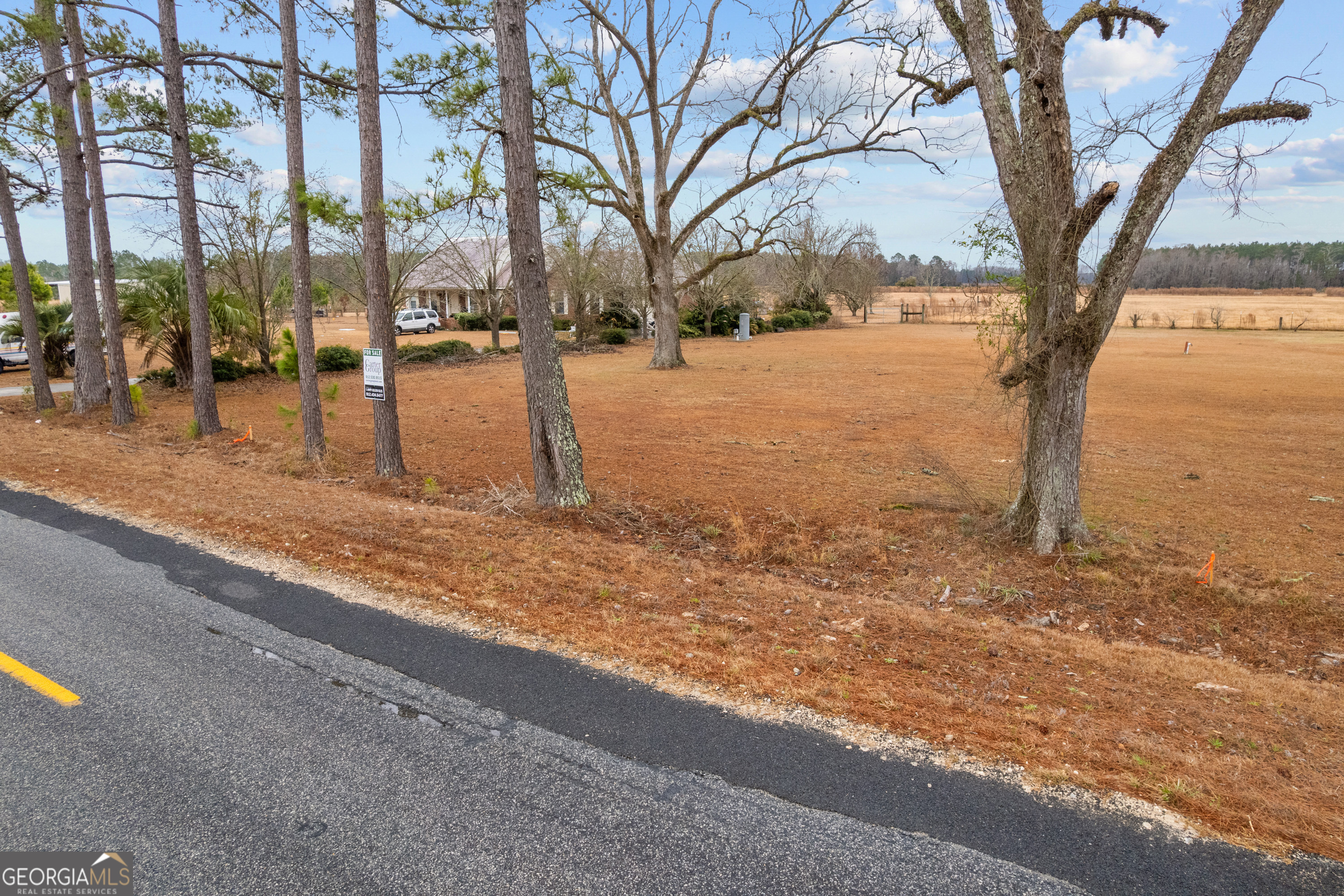 0 Trudie Road Blackshear, GA 31516 - Photo 24 of 32