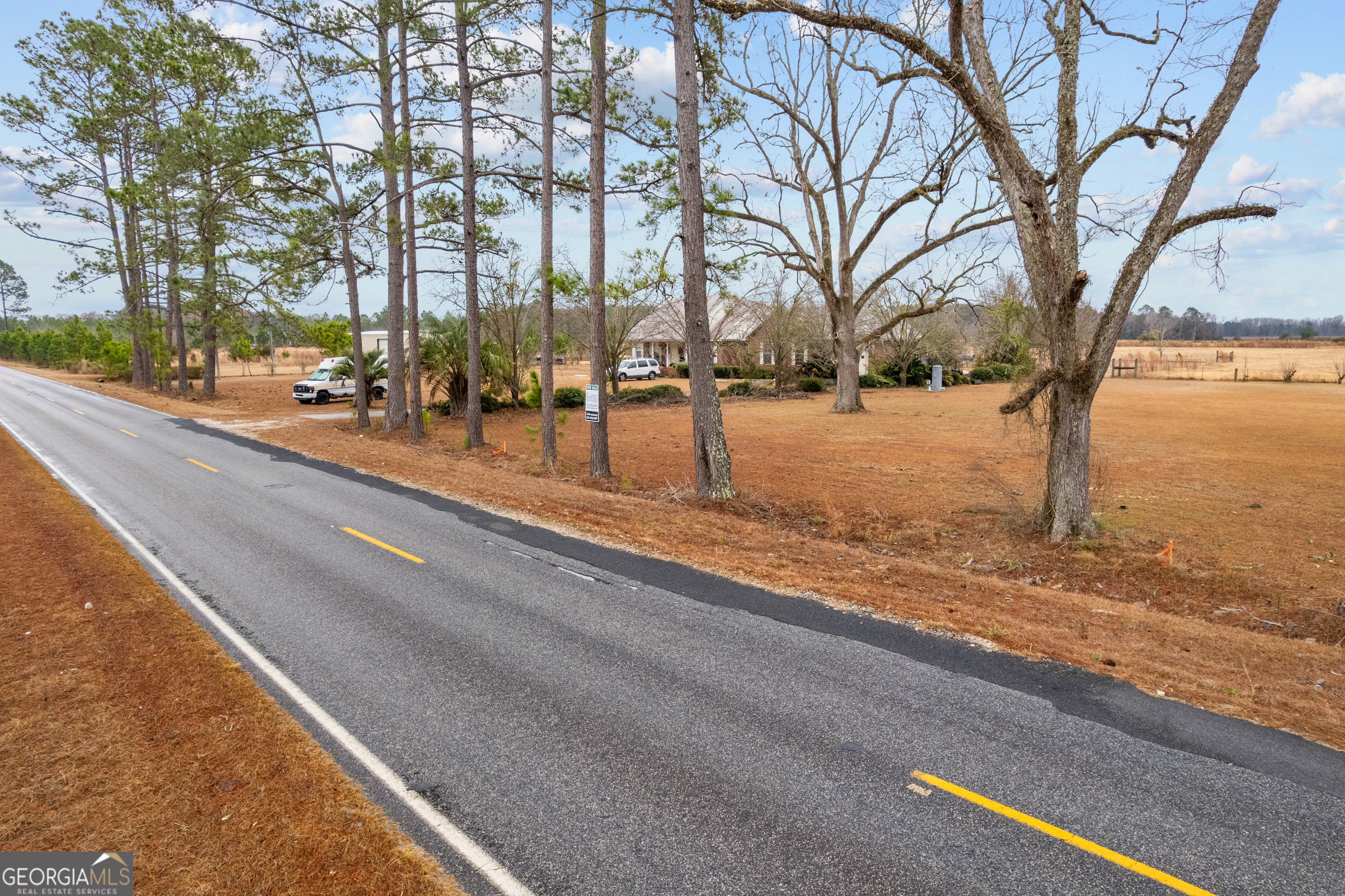 0 Trudie Road Blackshear, GA 31516 - Photo 25 of 32