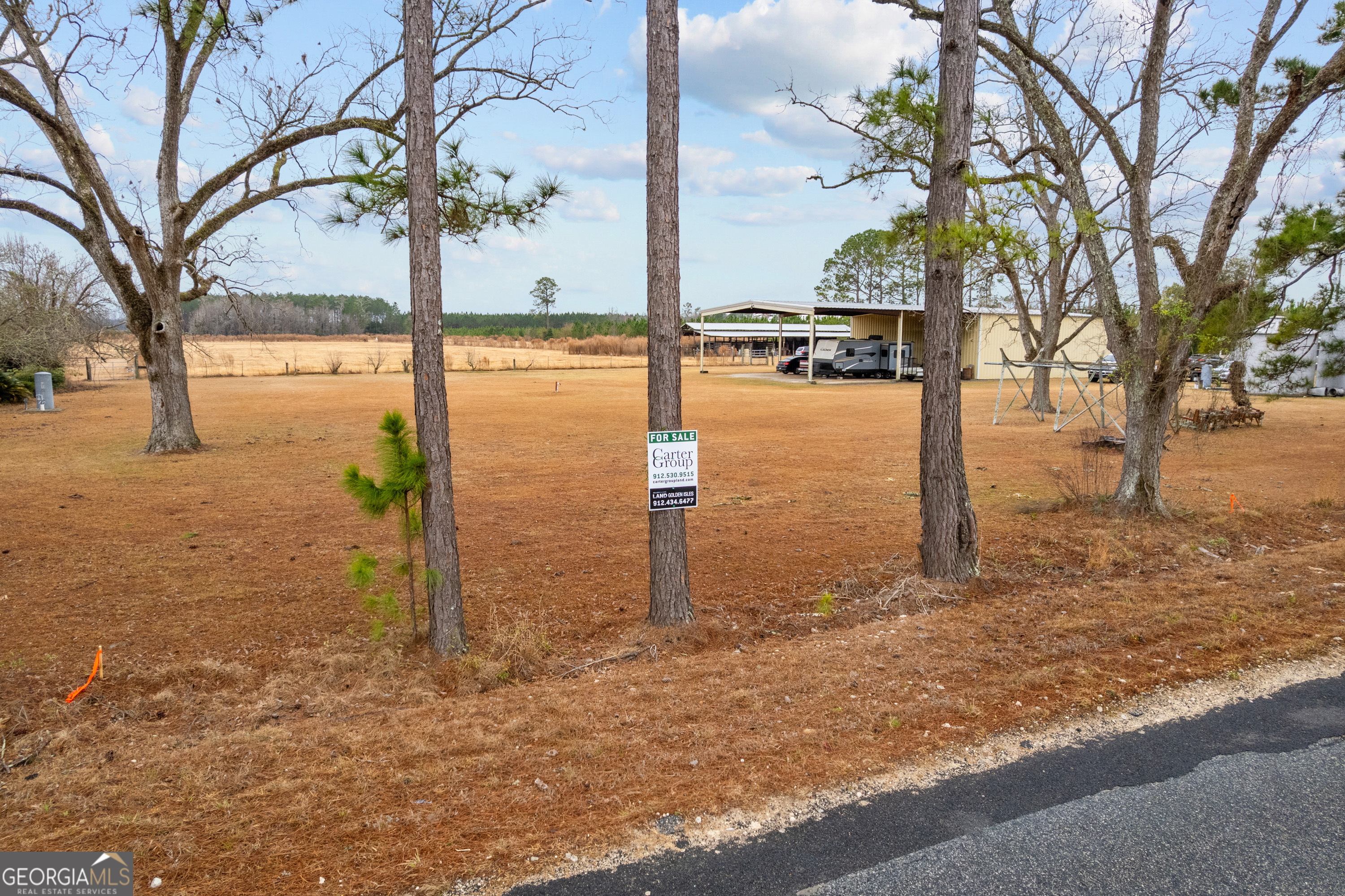 0 Trudie Road Blackshear, GA 31516 - Photo 26 of 32