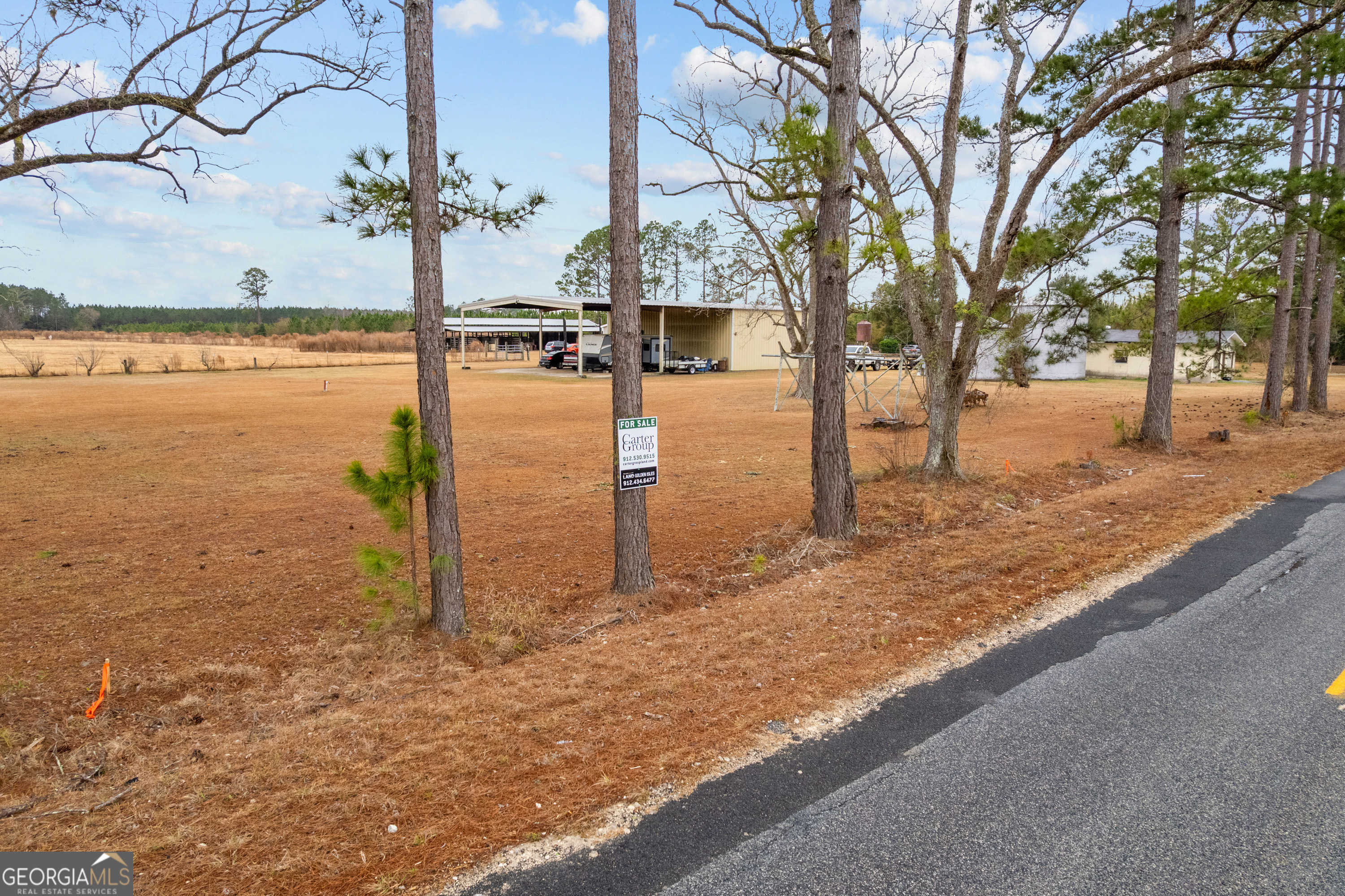 0 Trudie Road Blackshear, GA 31516 - Photo 27 of 32