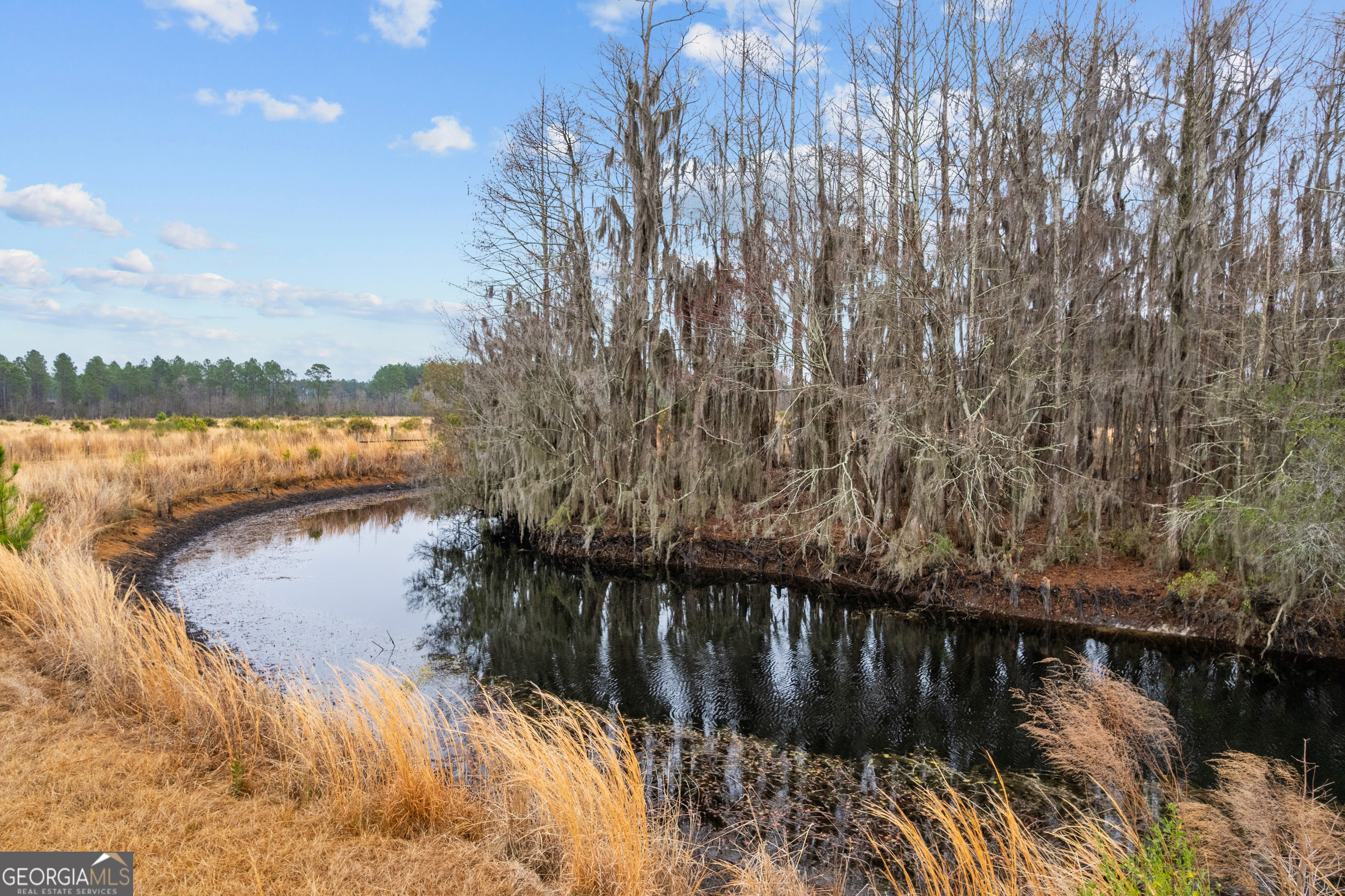 0 Trudie Road Blackshear, GA 31516 - Photo 29 of 32