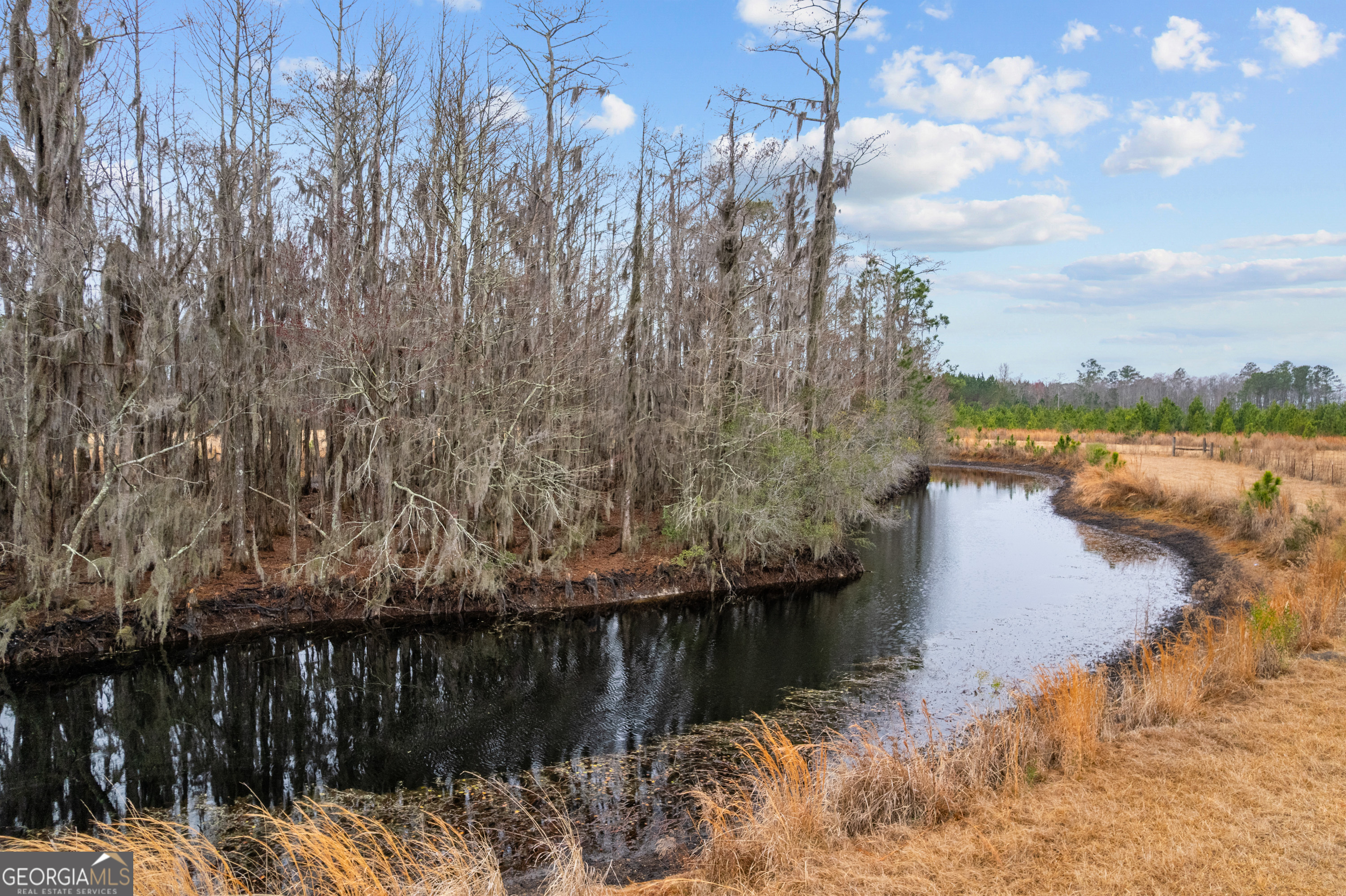0 Trudie Road Blackshear, GA 31516 - Photo 30 of 32