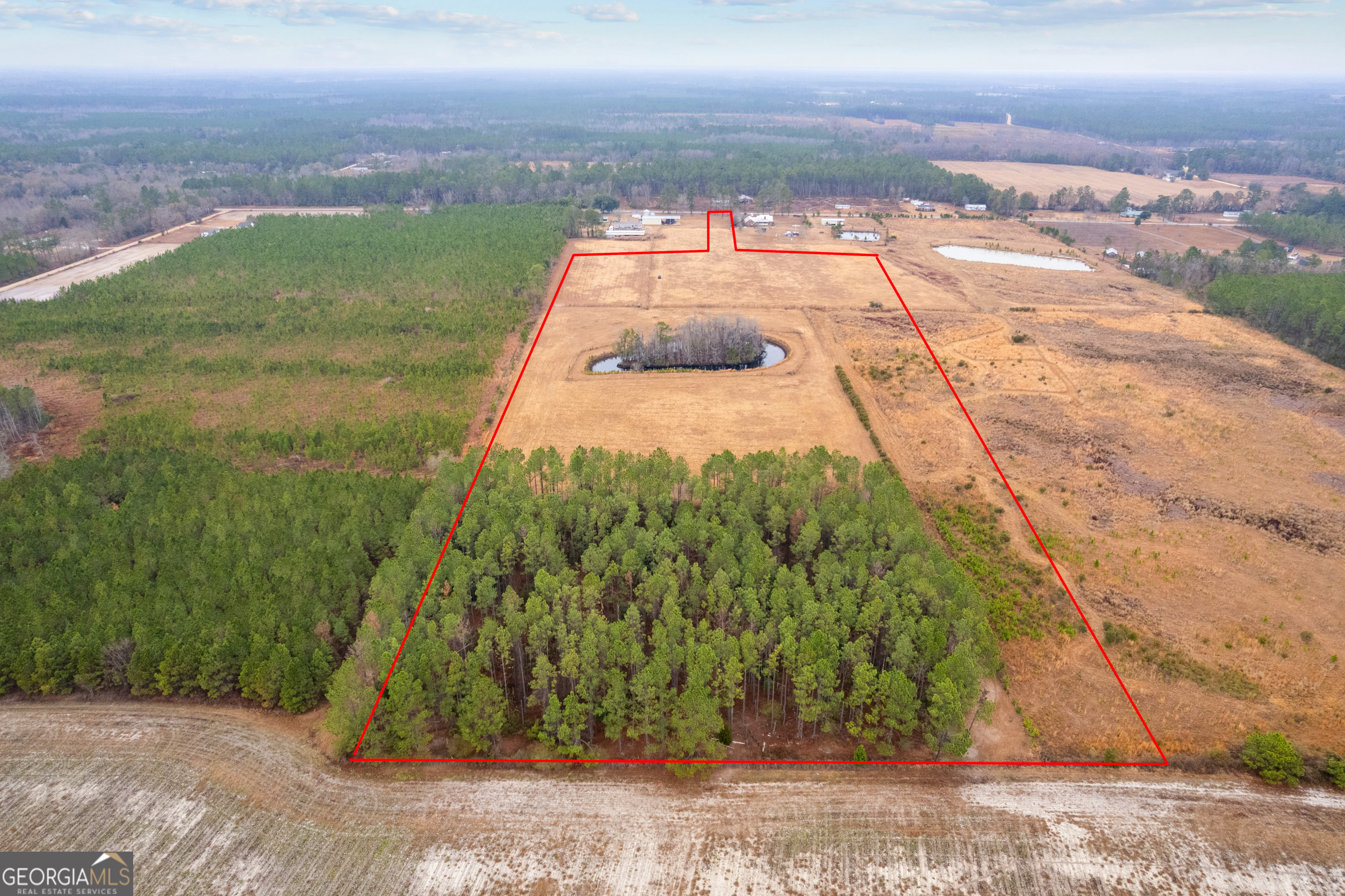 0 Trudie Road Blackshear, GA 31516 - Photo 3 of 32