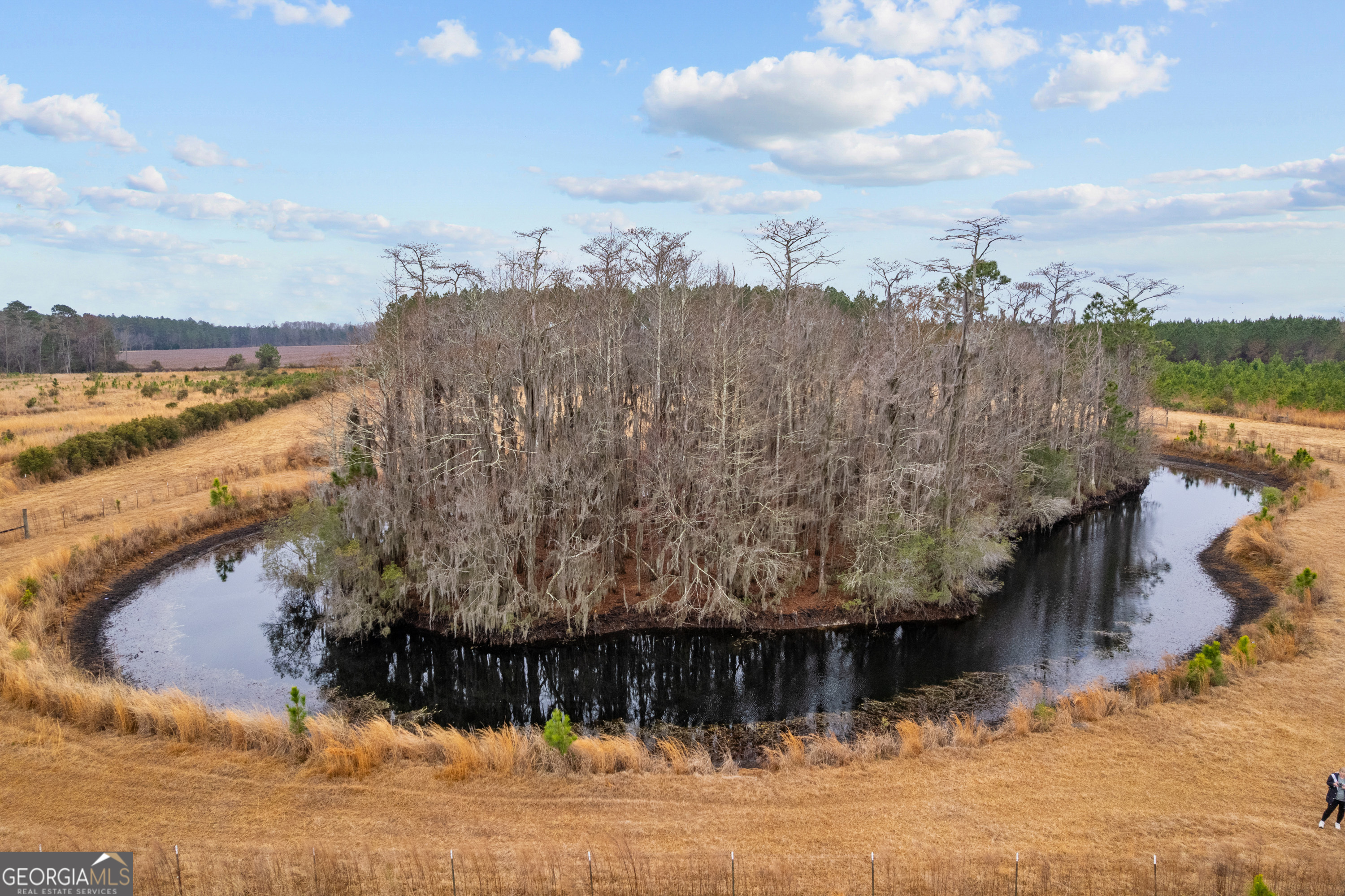 0 Trudie Road Blackshear, GA 31516 - Photo 31 of 32
