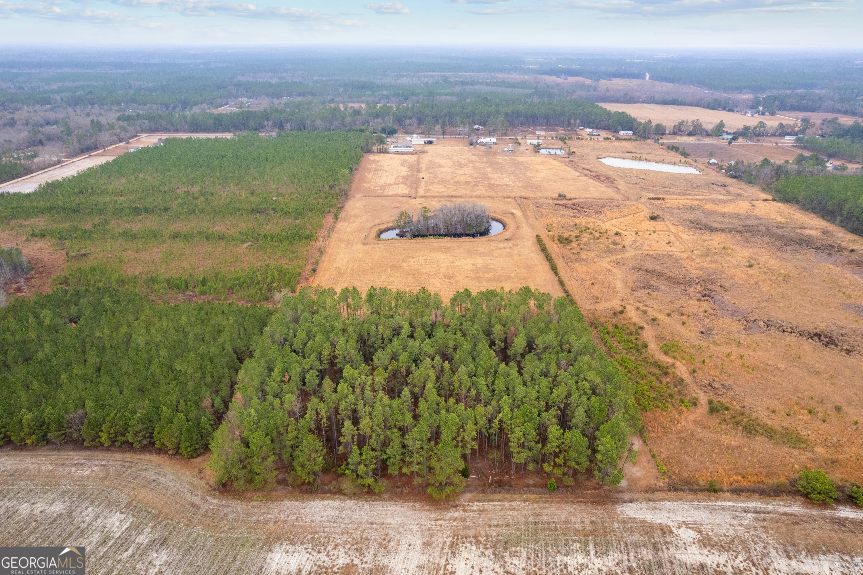 0 Trudie Road Blackshear, GA 31516 - Photo 4 of 32