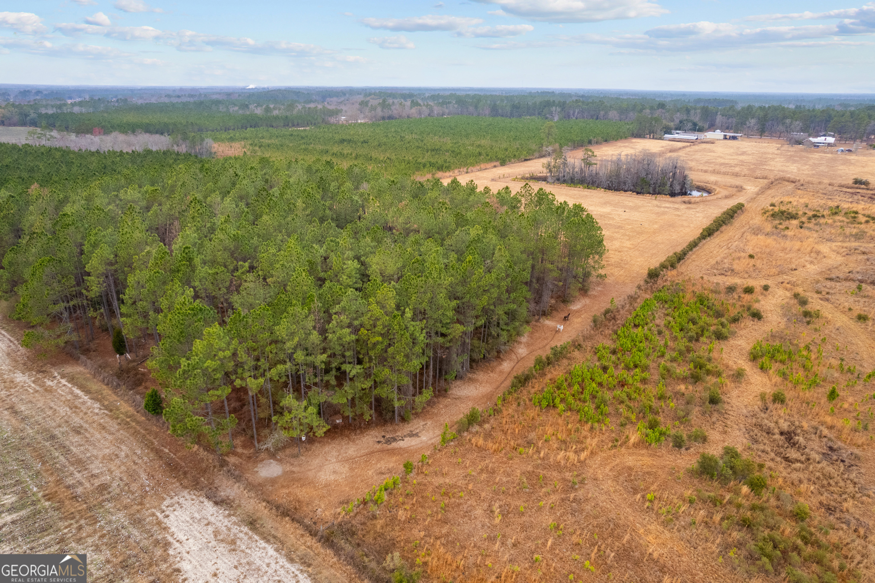 0 Trudie Road Blackshear, GA 31516 - Photo 6 of 32