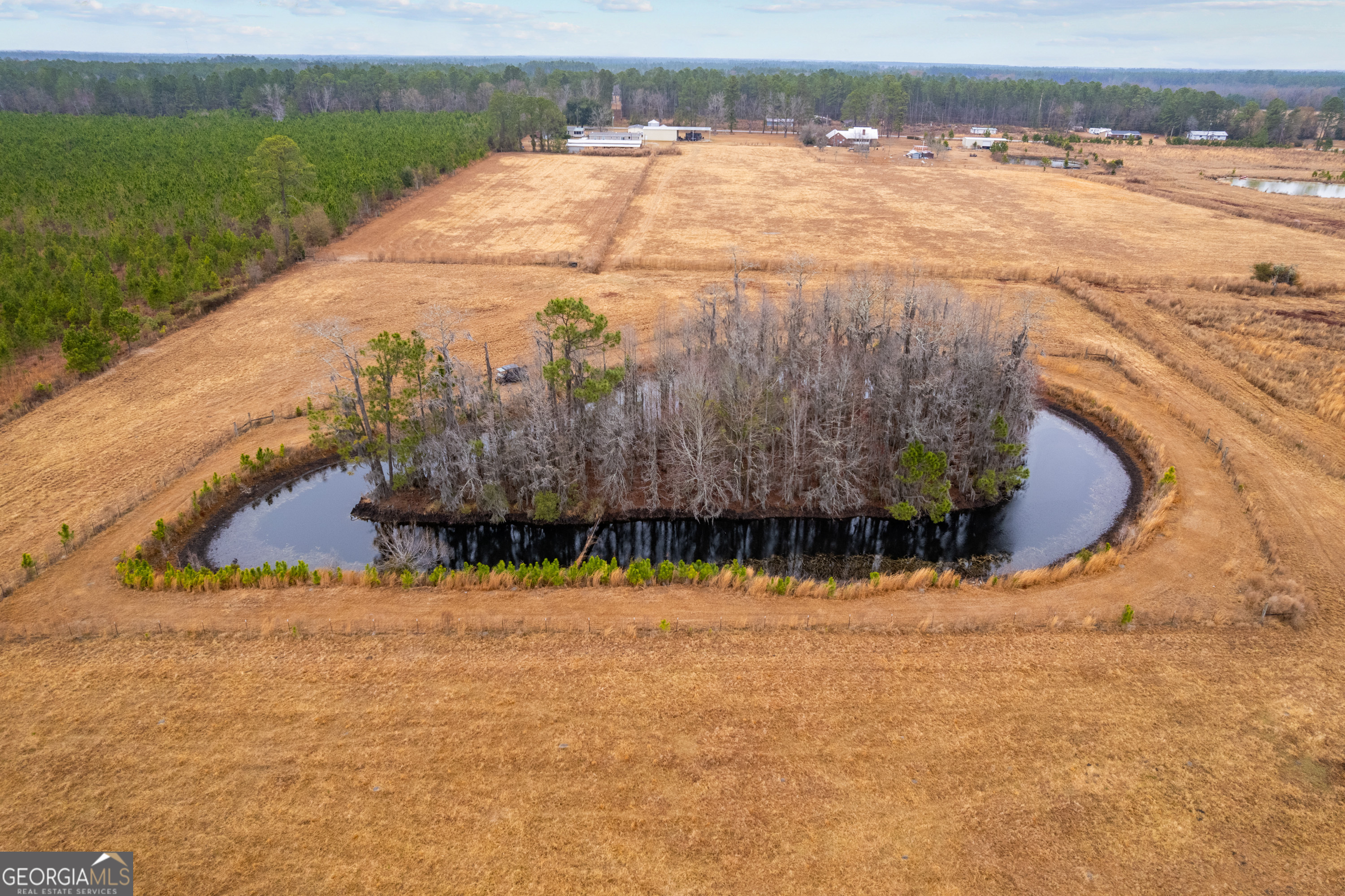 0 Trudie Road Blackshear, GA 31516 - Photo 7 of 32