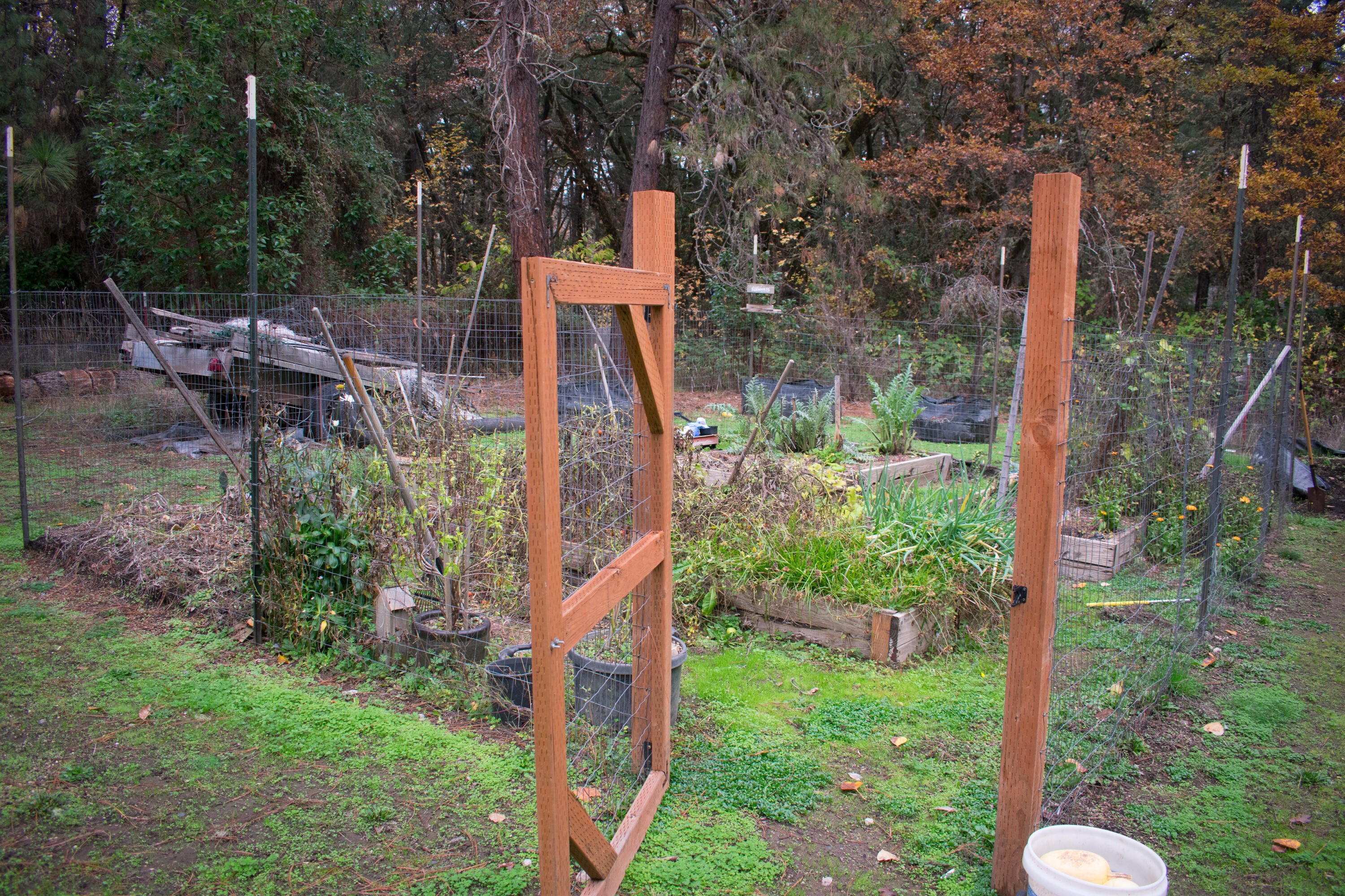 12370 Lower River Road Grants Pass, OR 97526 - Photo 27 of 29 Garden