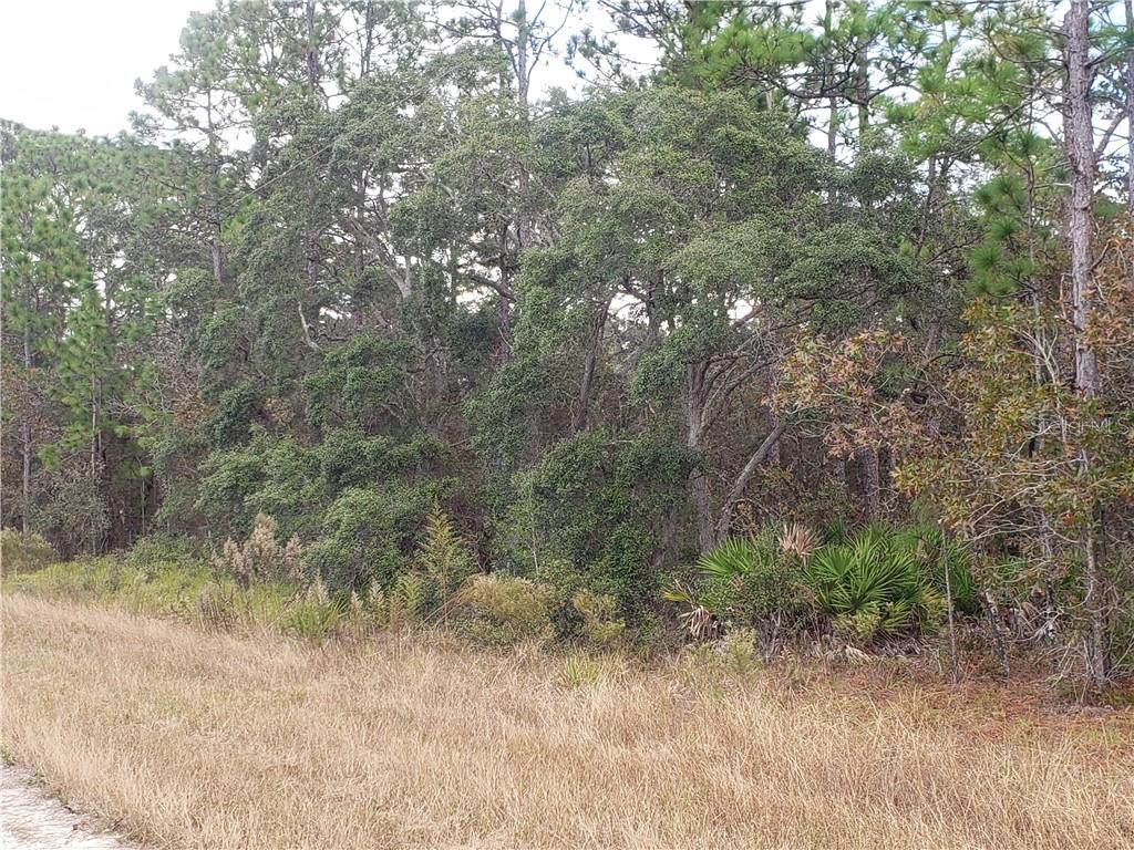 15406 Magnolia Warbler Road Weeki Wachee, FL 34614 - Photo 1 of 1 Property Frontage