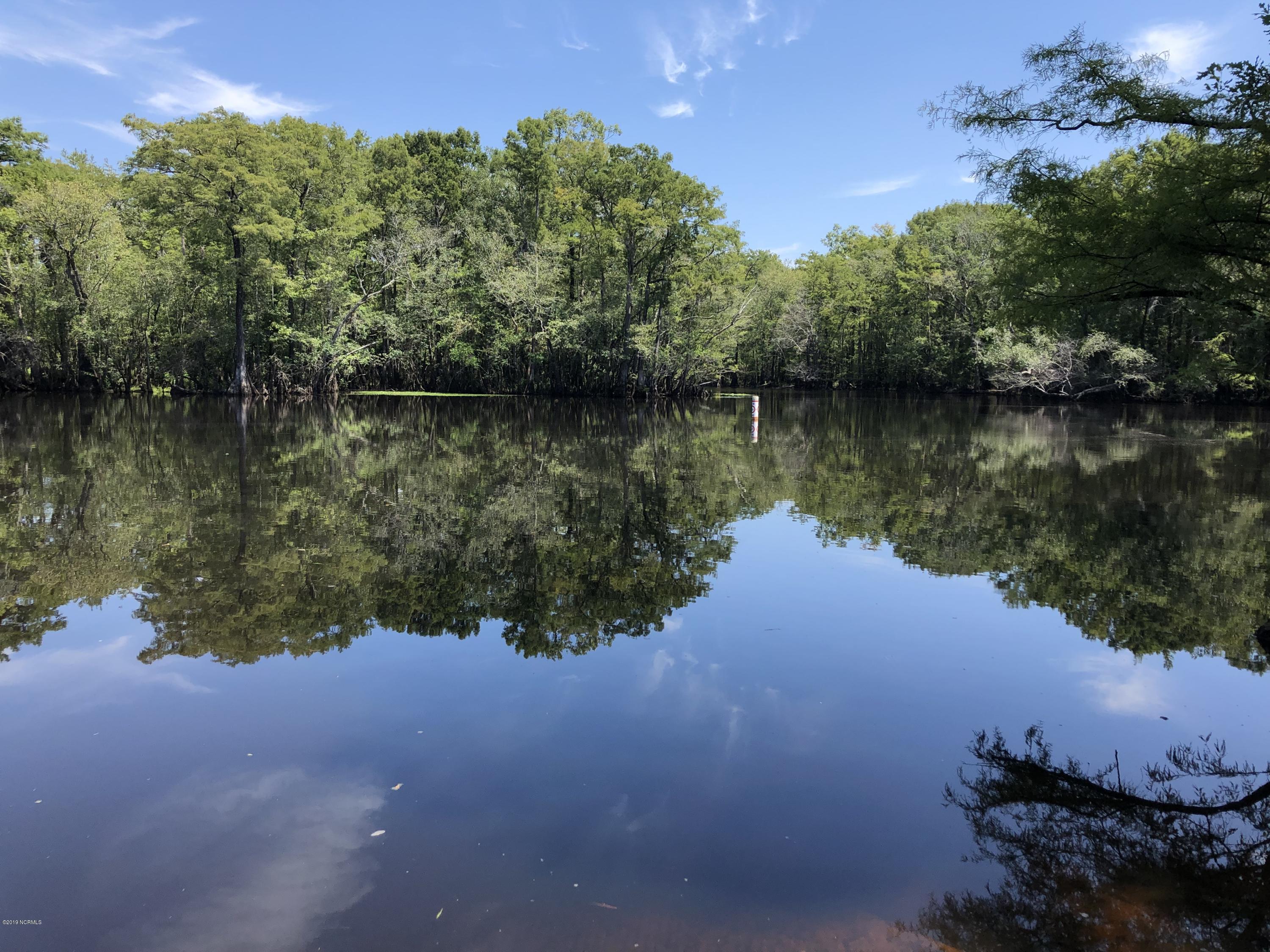 Off Hunts Bluff Road Kelly, NC 28448 - Photo 1 of 1 River View
