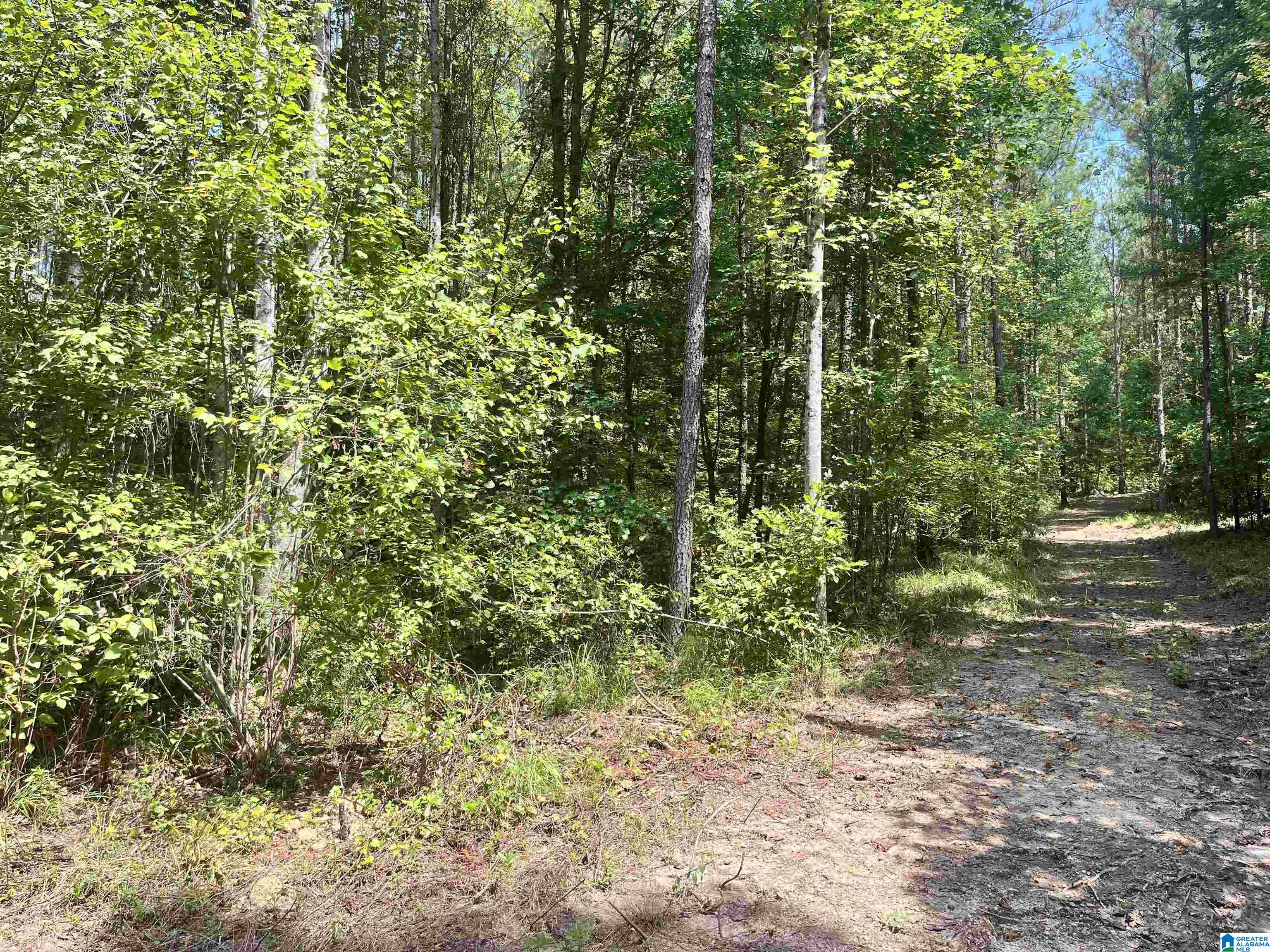 680 Sweet Apple Road, Unit TRACT 3 Pell City, AL 35128 - Photo 5 of 6