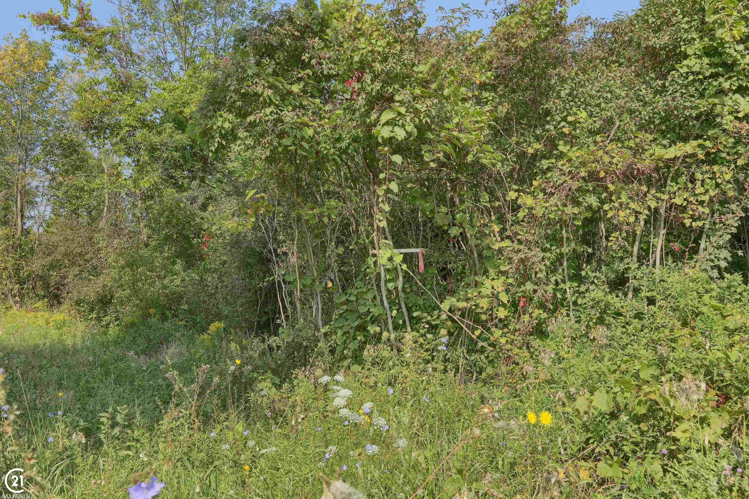 471-475 North Youngs Road Attica, MI 48412 - Photo 15 of 44 Gallery Image 15