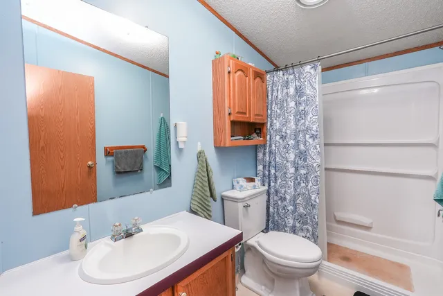 a bathroom with a sink toilet and mirror