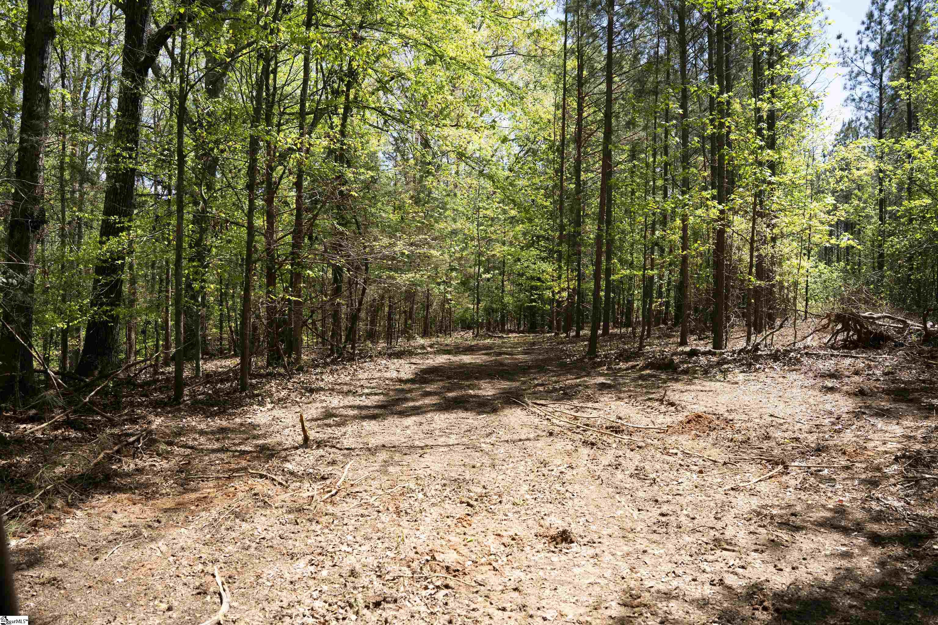 0 Loftis Road Abbeville, SC 29620 - Photo 13 of 27 Gallery Image 13