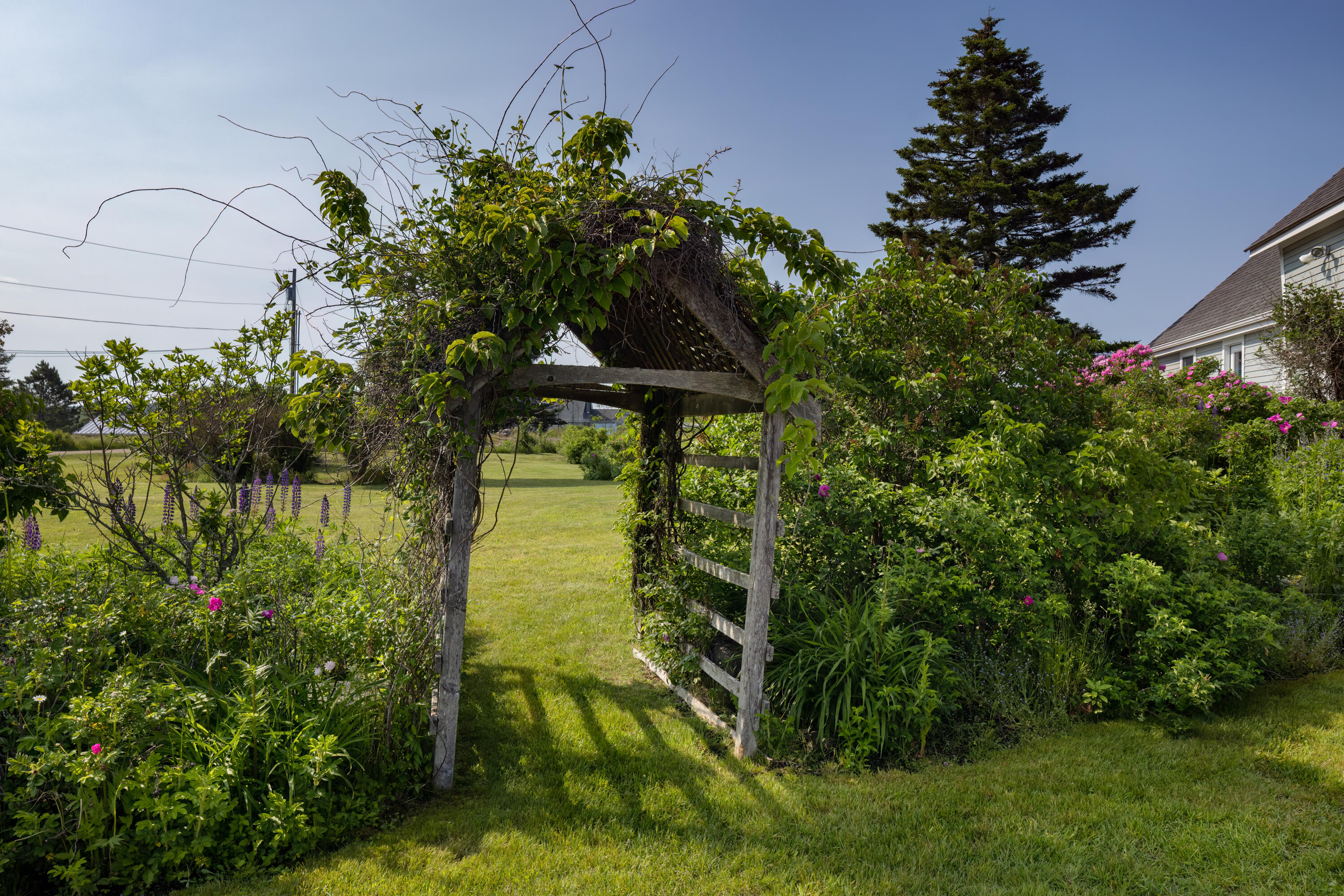 464 Port Clyde Road St. George, ME 04860 - Photo 106 of 108 6J3A6452-Edit-Edit