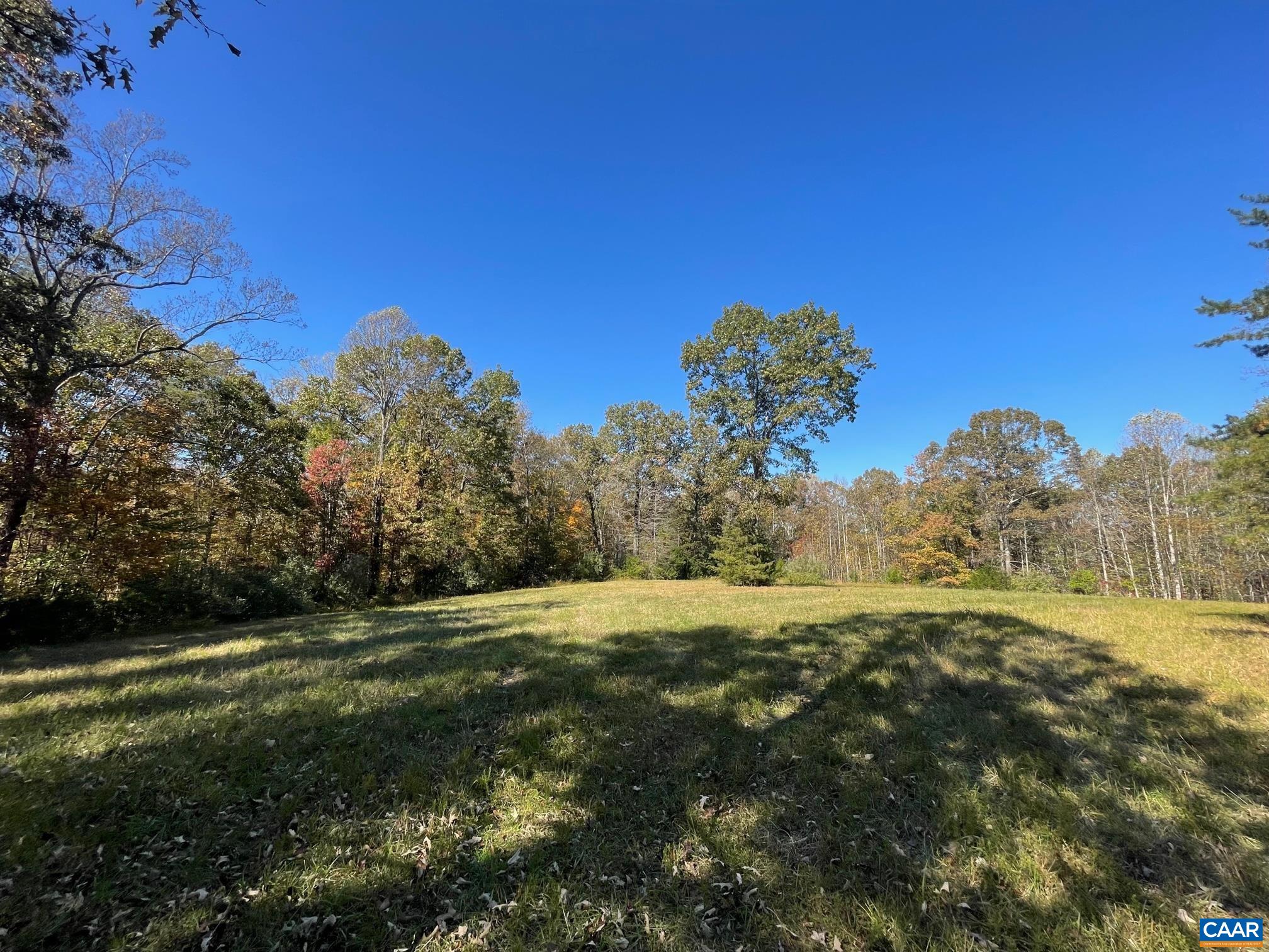 6 Frays Mill Road Ruckersville, VA 22968 - Photo 4 of 9 a view of a big yard with a large trees