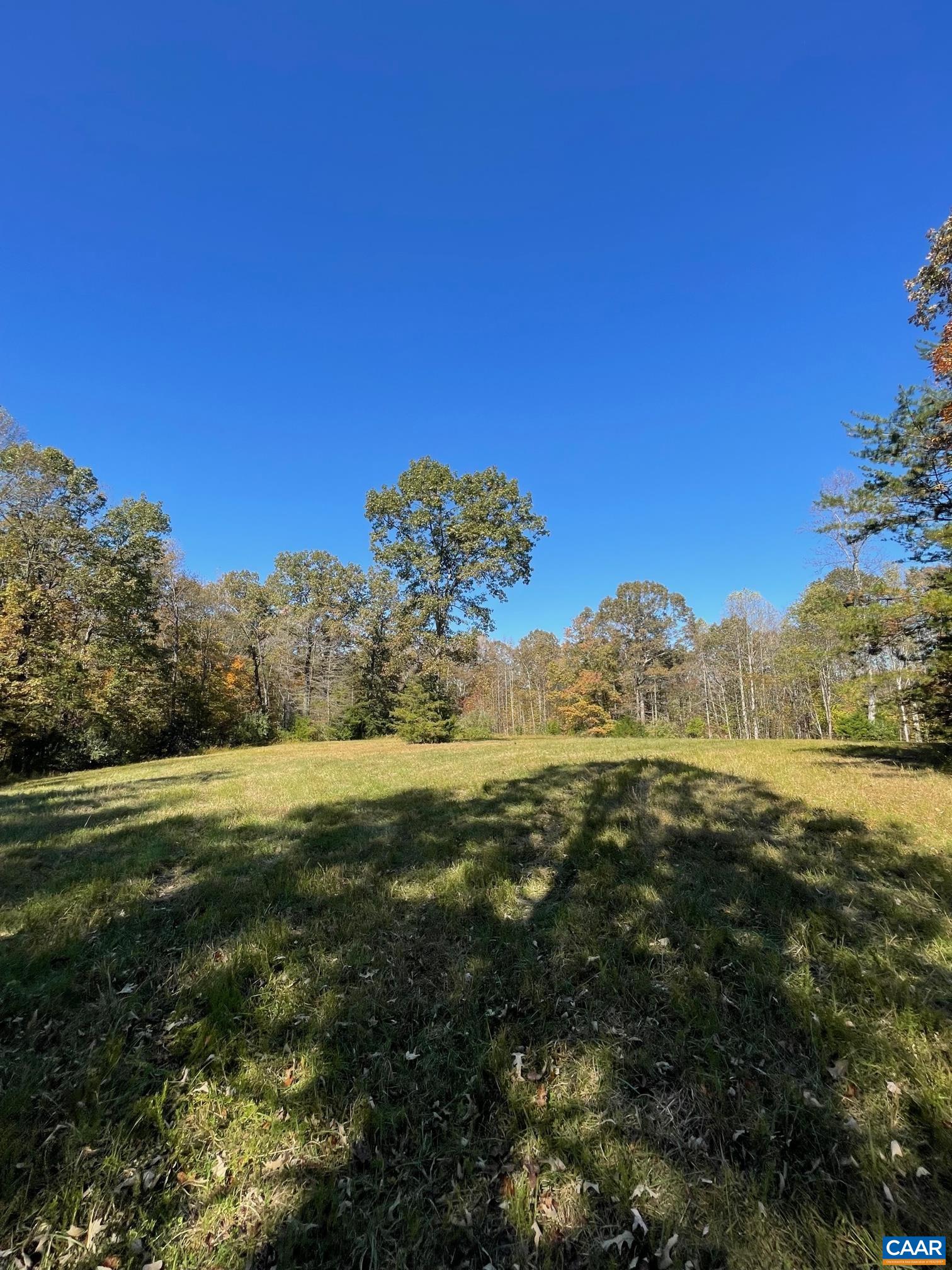 6 Frays Mill Road Ruckersville, VA 22968 - Photo 5 of 9 a view of an ocean from a yard
