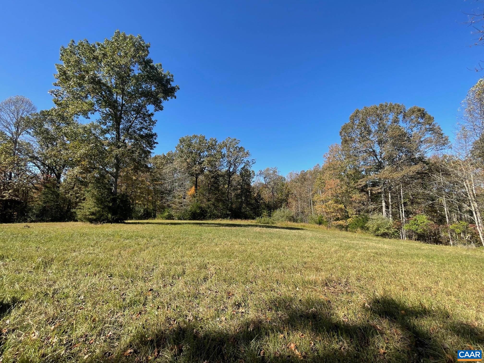 6 Frays Mill Road Ruckersville, VA 22968 - Photo 7 of 9 a view of a field with trees in the background