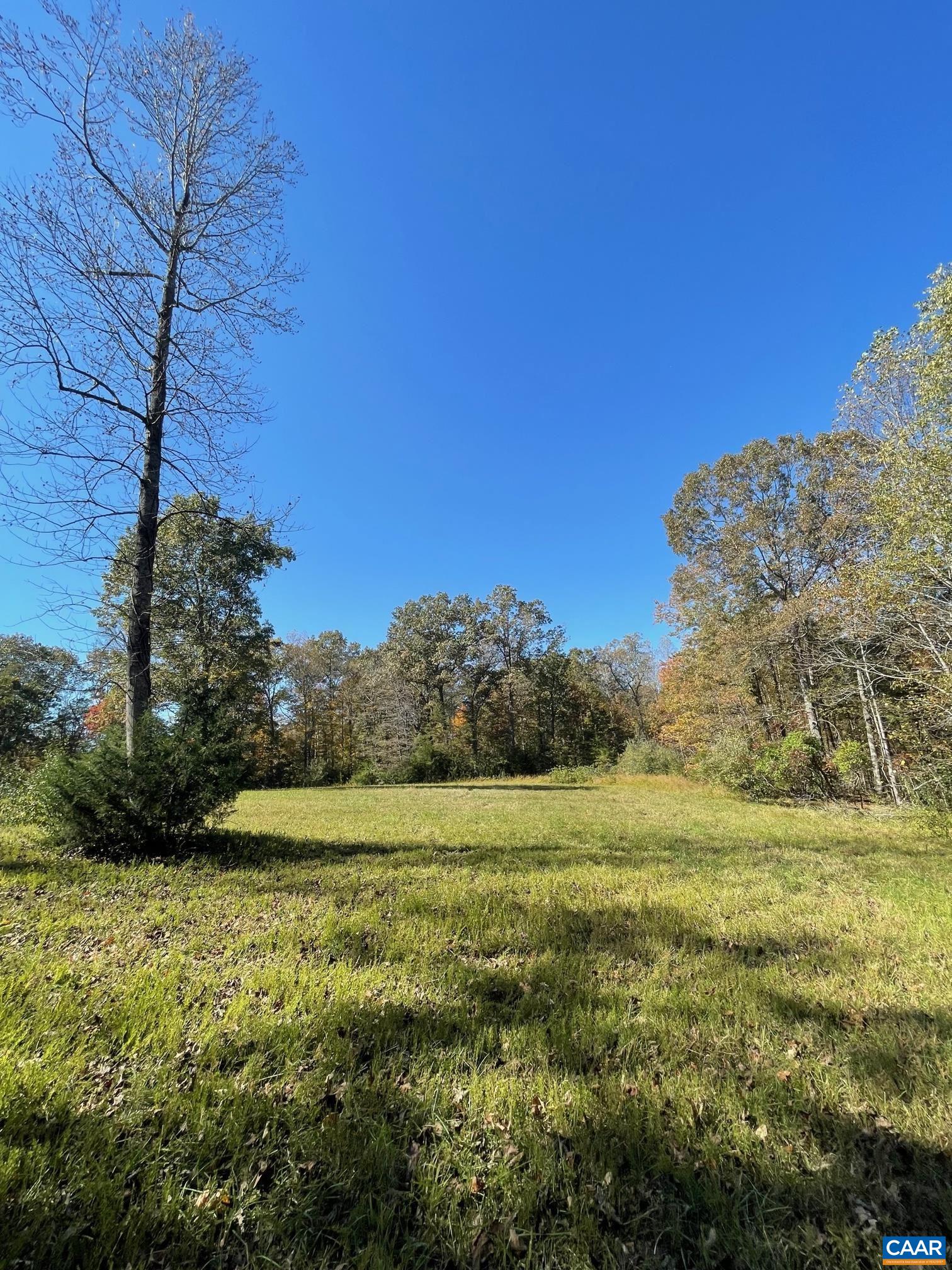 6 Frays Mill Road Ruckersville, VA 22968 - Photo 8 of 9 a view of a field with an ocean