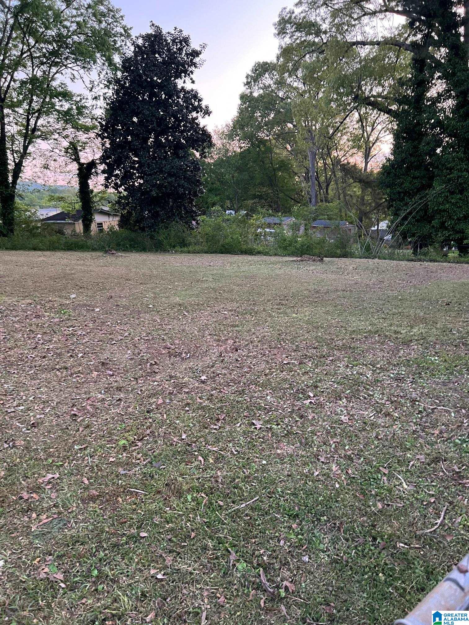 1408 West 22nd Street Anniston, AL 36201 - Photo 30 of 38