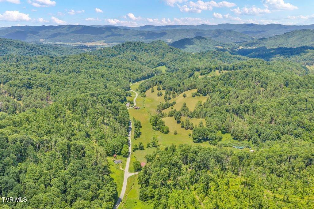 150 Fred Price Road Mountain City, TN 37683 - Photo 35 of 35 38
