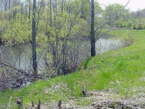 0 A And B Ridge Road Applegate, MI 48401 - Photo 15 of 17 909666-14.JPG