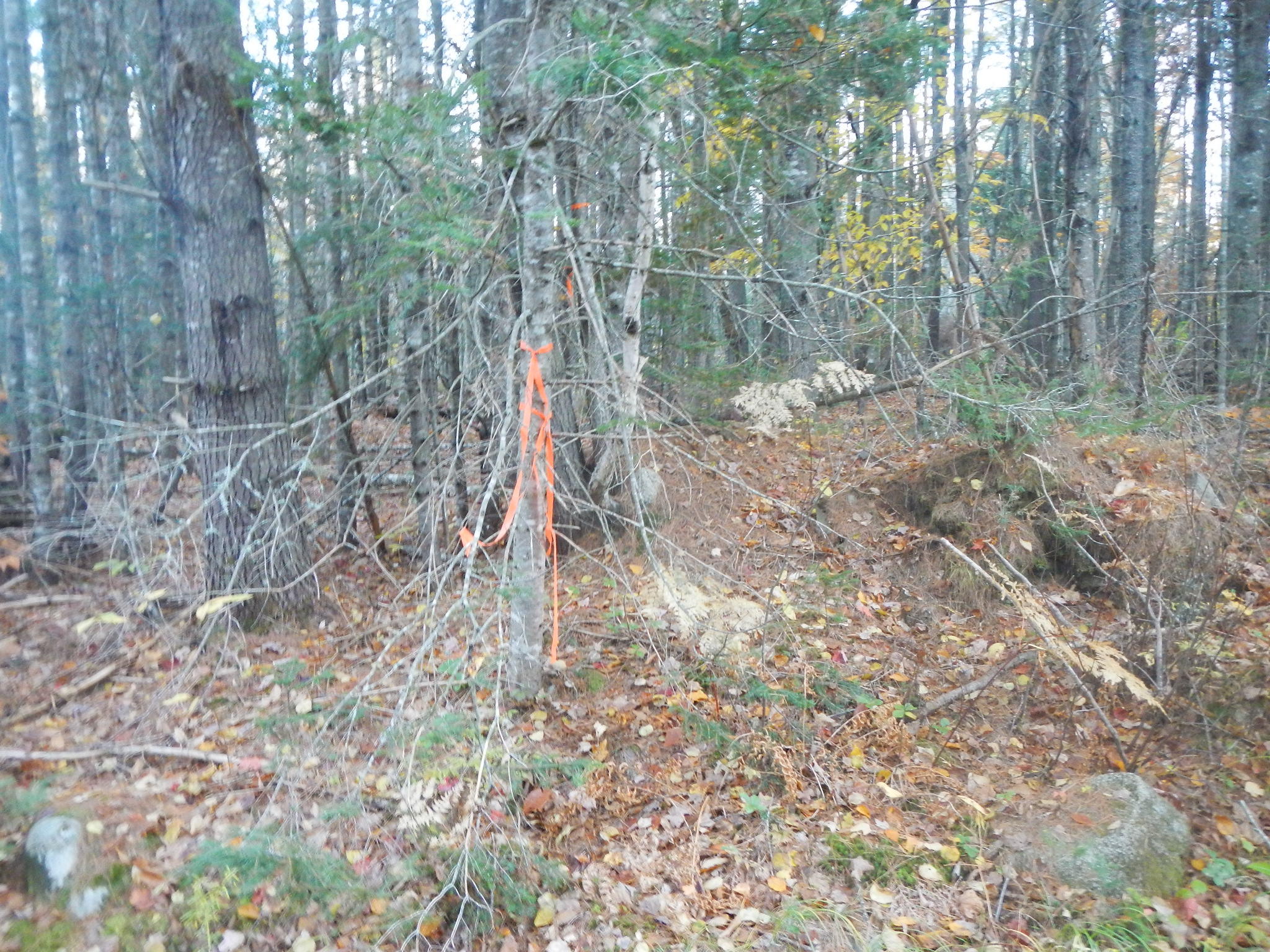 41 North Road Howland, ME 04448 - Photo 13 of 20 DSCN7488
