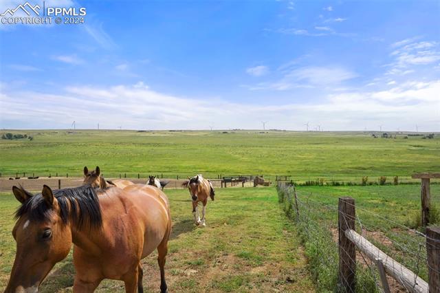 8155 Soap Weed Road Calhan, CO 80808 - Photo 39 of 39 View of yard featuring a rural view