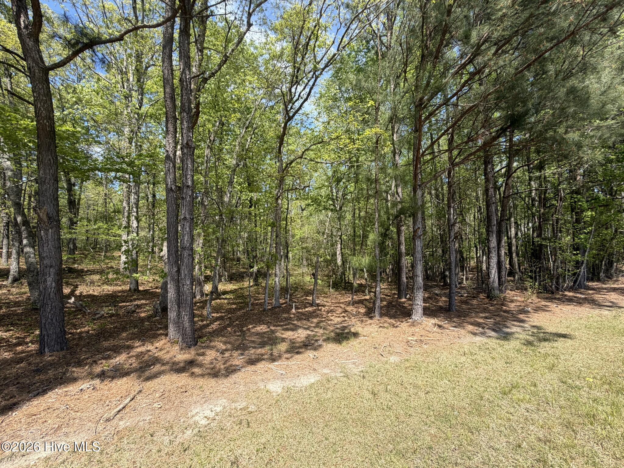 1016 R Cedar Lane West End, NC 27376 - Photo 12 of 24 IMG_0817