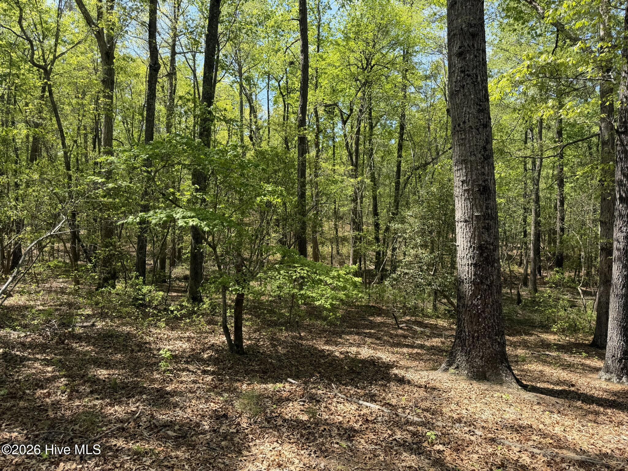 1016 R Cedar Lane West End, NC 27376 - Photo 20 of 24 IMG_0829