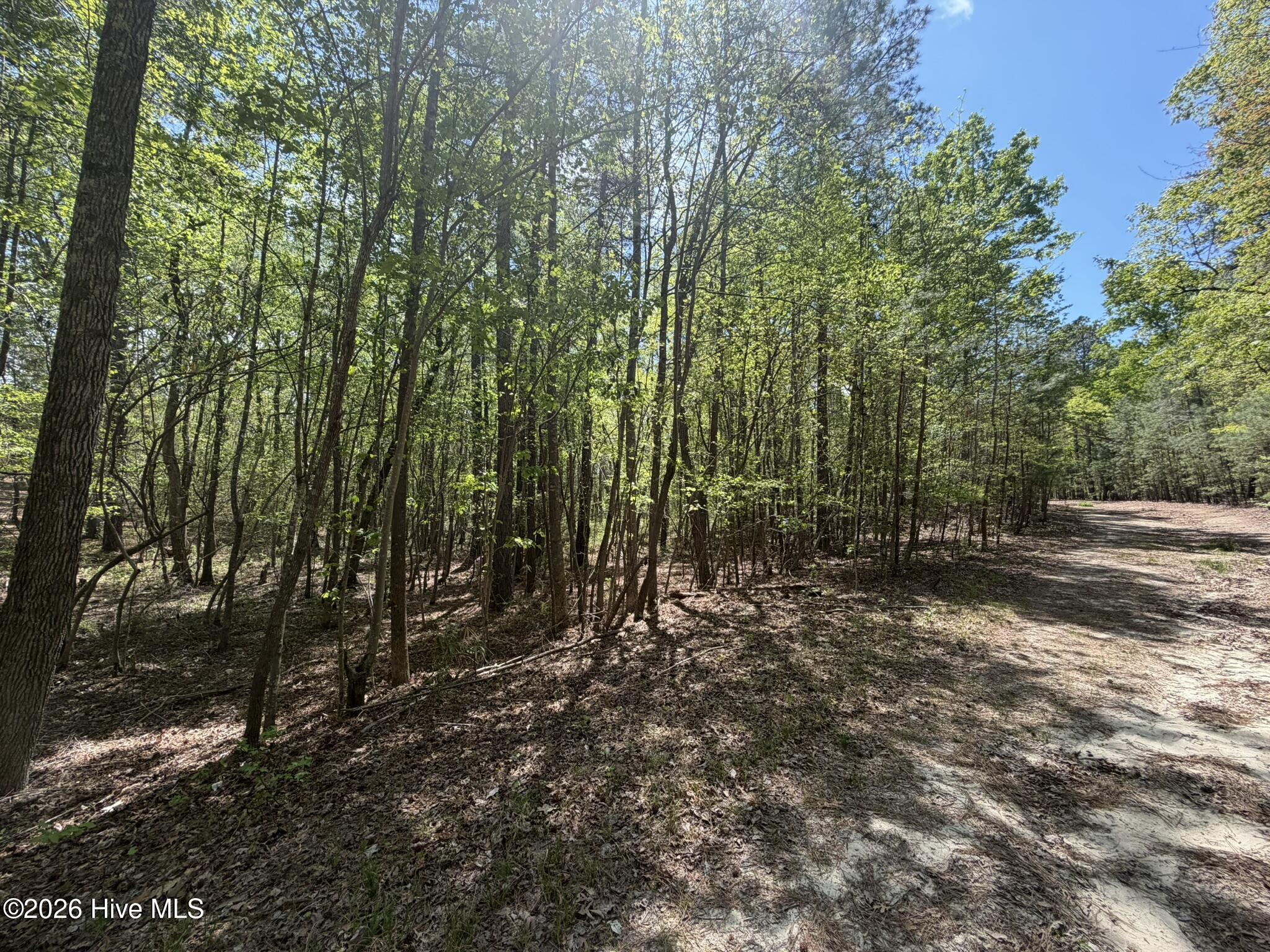 1016 R Cedar Lane West End, NC 27376 - Photo 24 of 24 IMG_0835