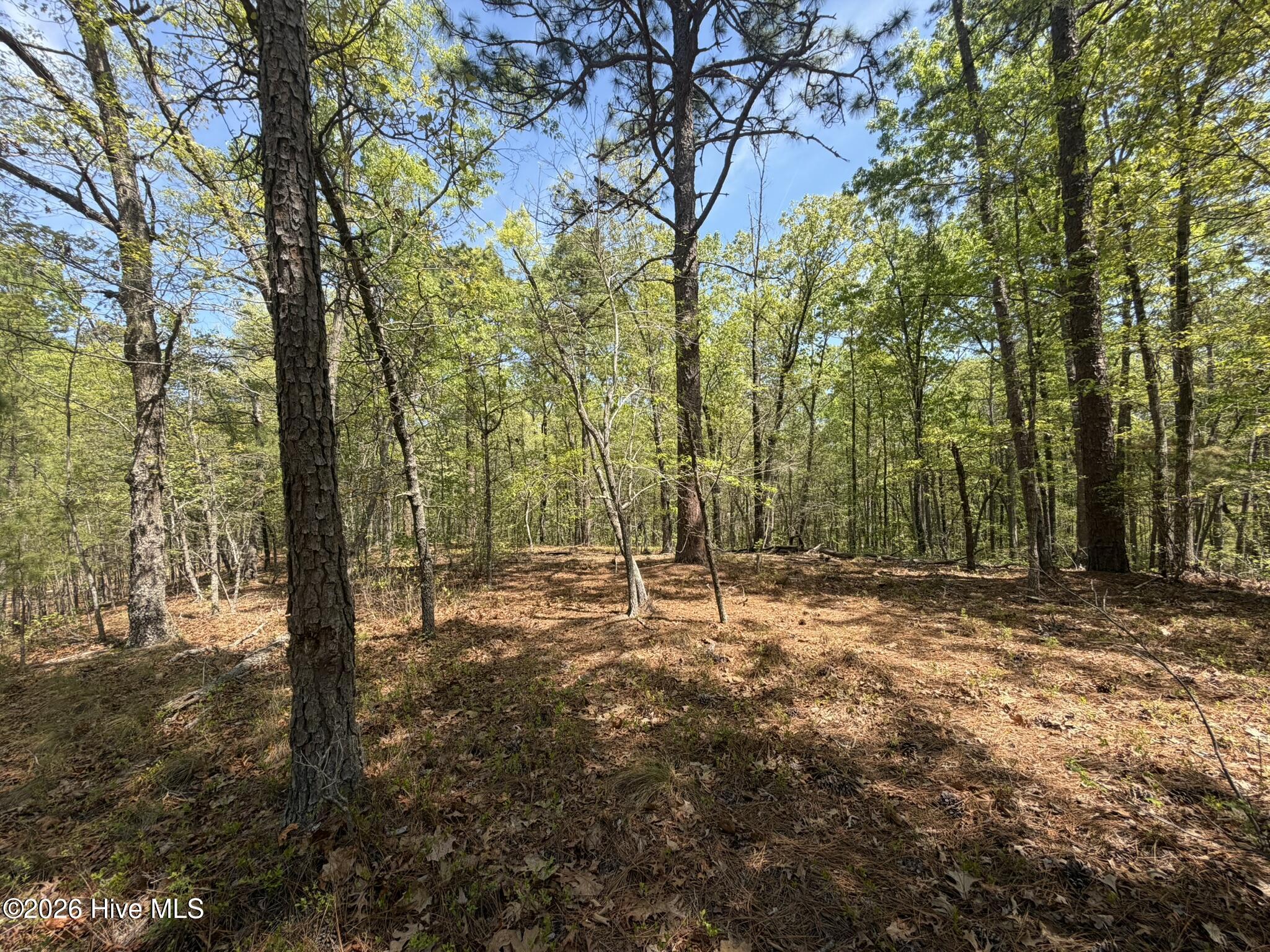 1016 R Cedar Lane West End, NC 27376 - Photo 5 of 24 IMG_0809