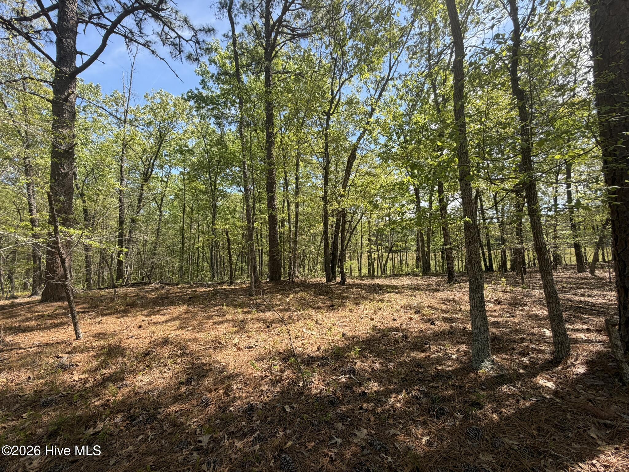1016 R Cedar Lane West End, NC 27376 - Photo 6 of 24 IMG_0810